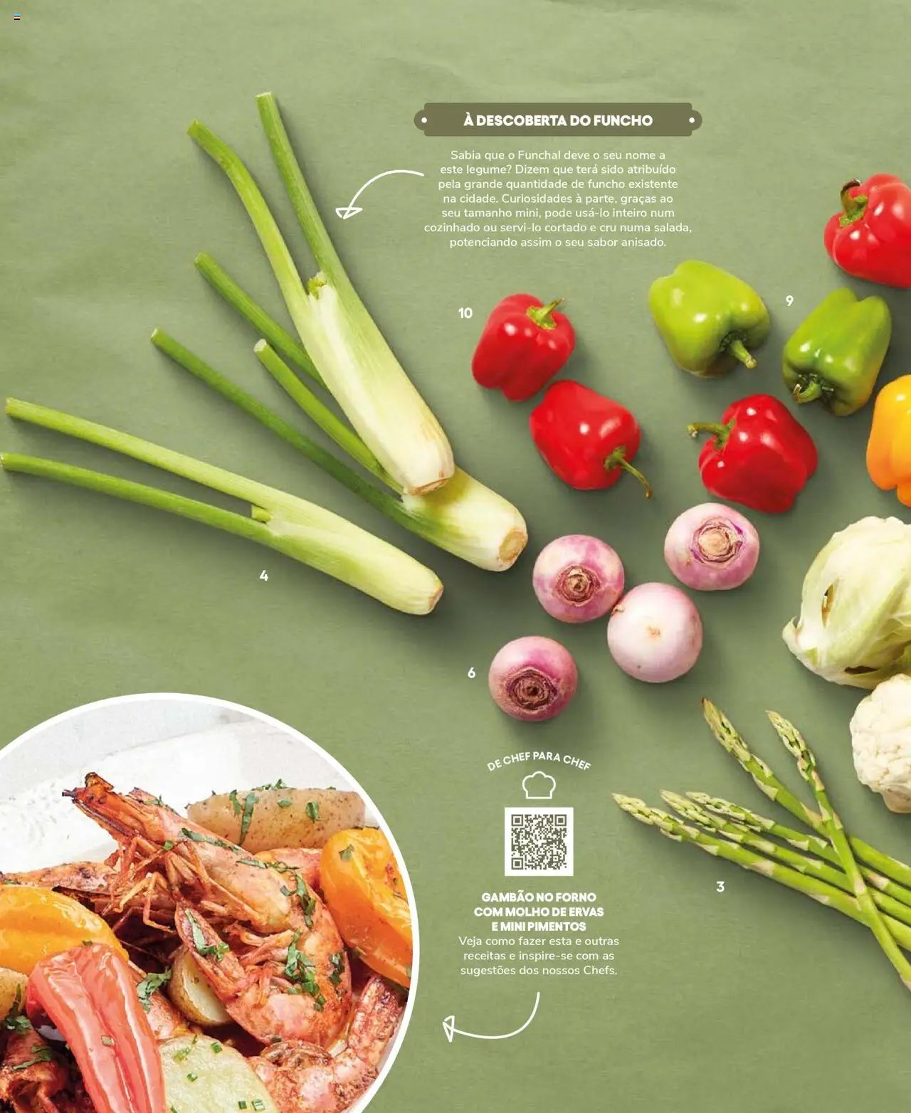 Recheio Frutas e Legumes (2024-09-19 - 2025-12-31)