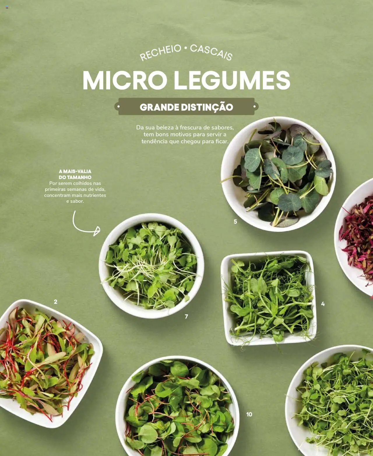 Recheio Frutas e Legumes (2024-09-19 - 2025-12-31)