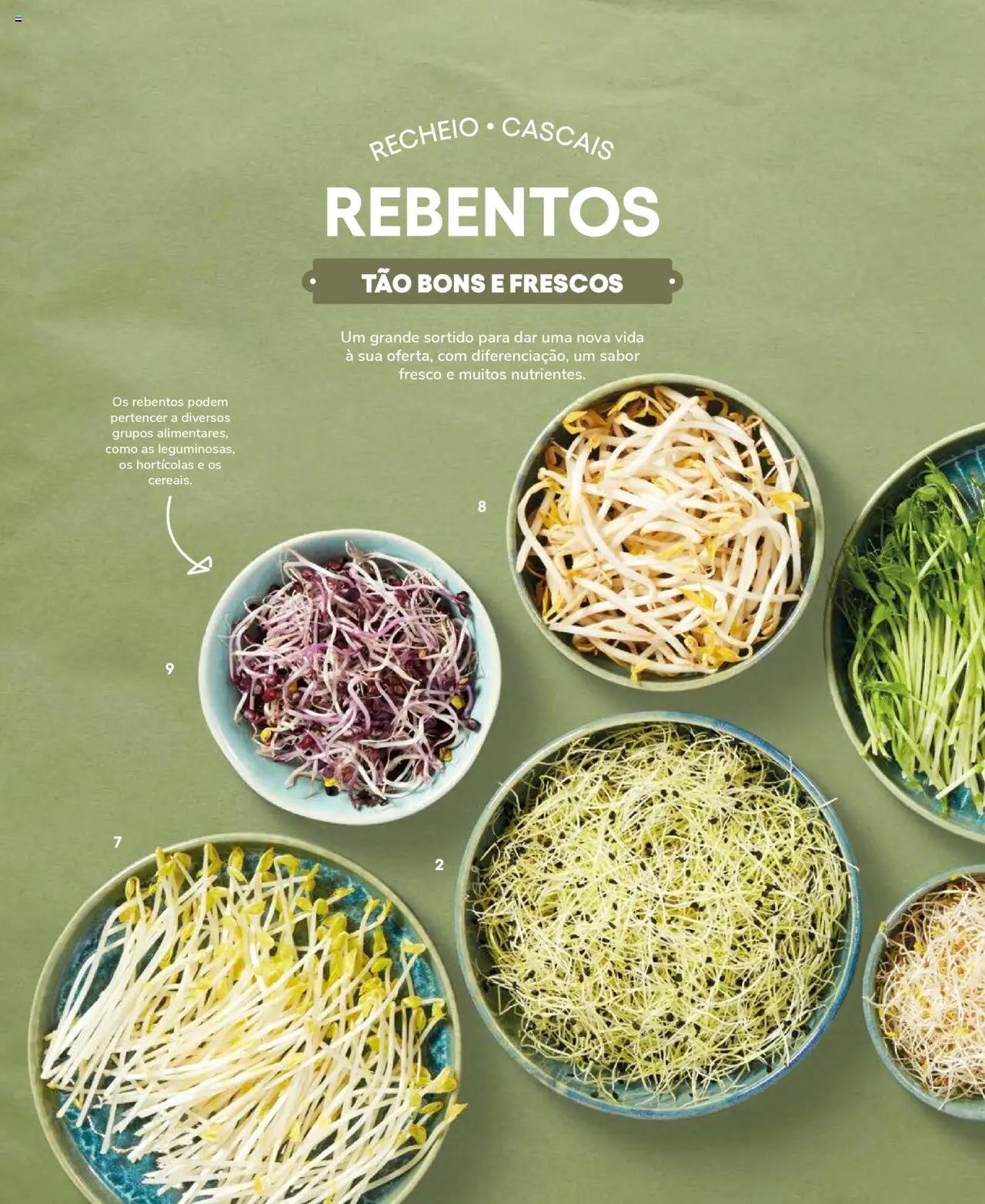 Recheio Frutas e Legumes (2024-09-19 - 2025-12-31)