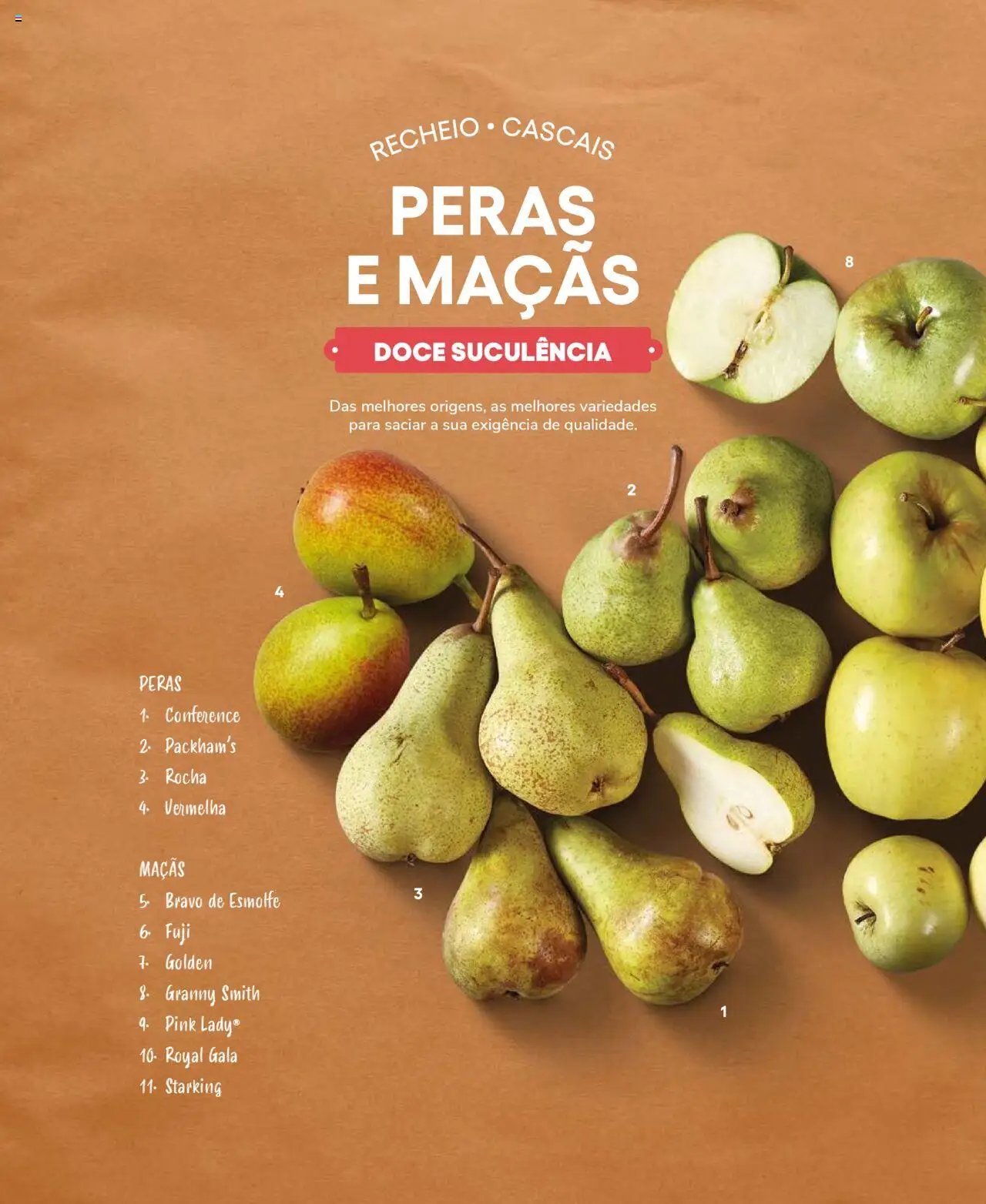Recheio Frutas e Legumes (2024-09-19 - 2025-12-31)