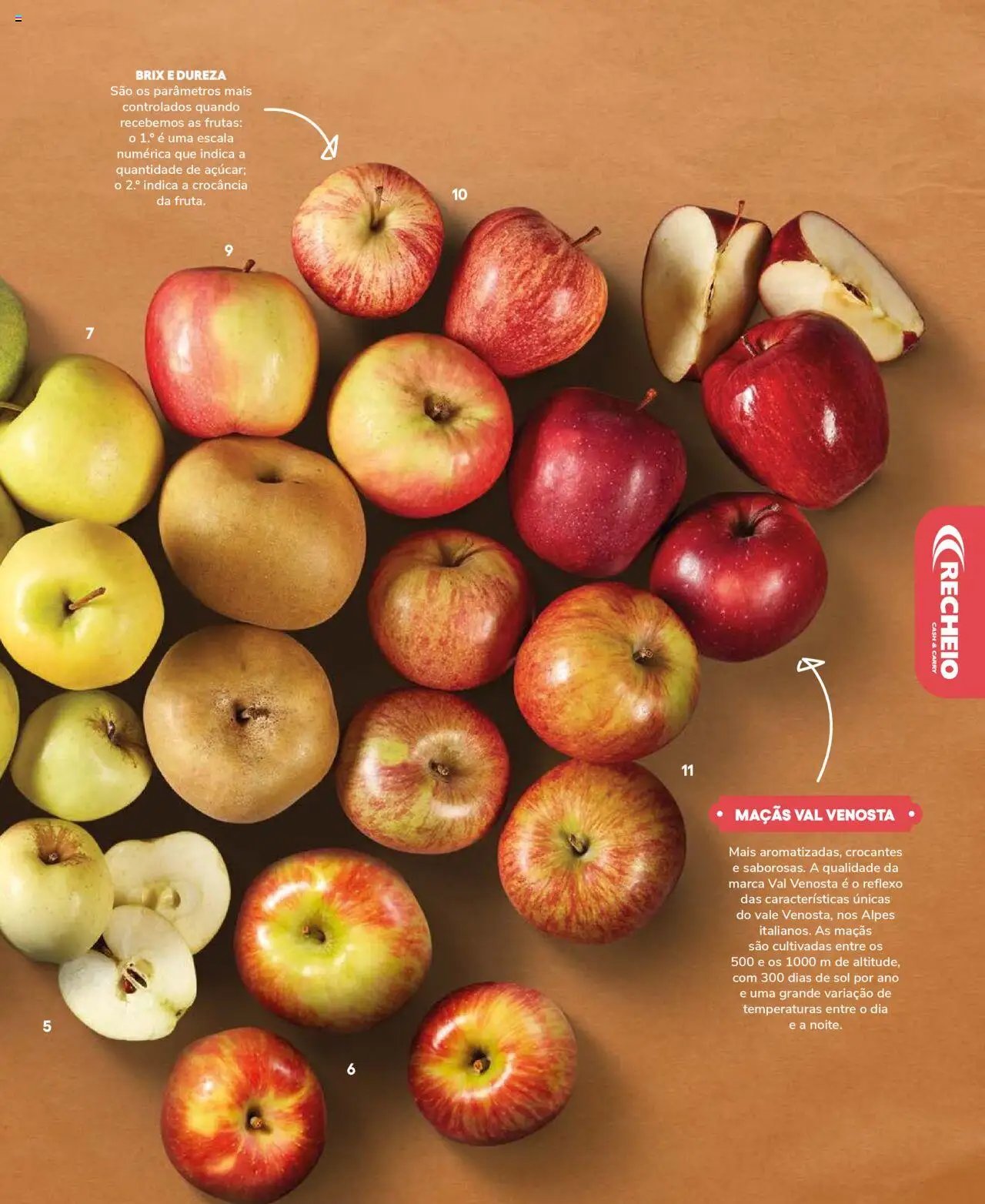 Recheio Frutas e Legumes (2024-09-19 - 2025-12-31)