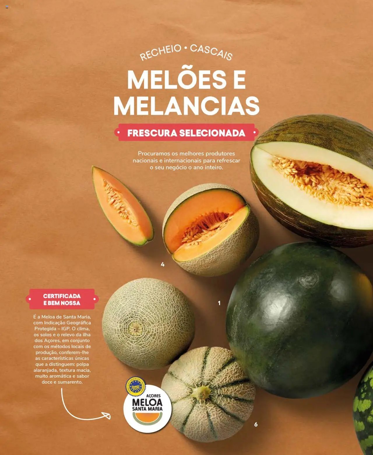 Recheio Frutas e Legumes (2024-09-19 - 2025-12-31)