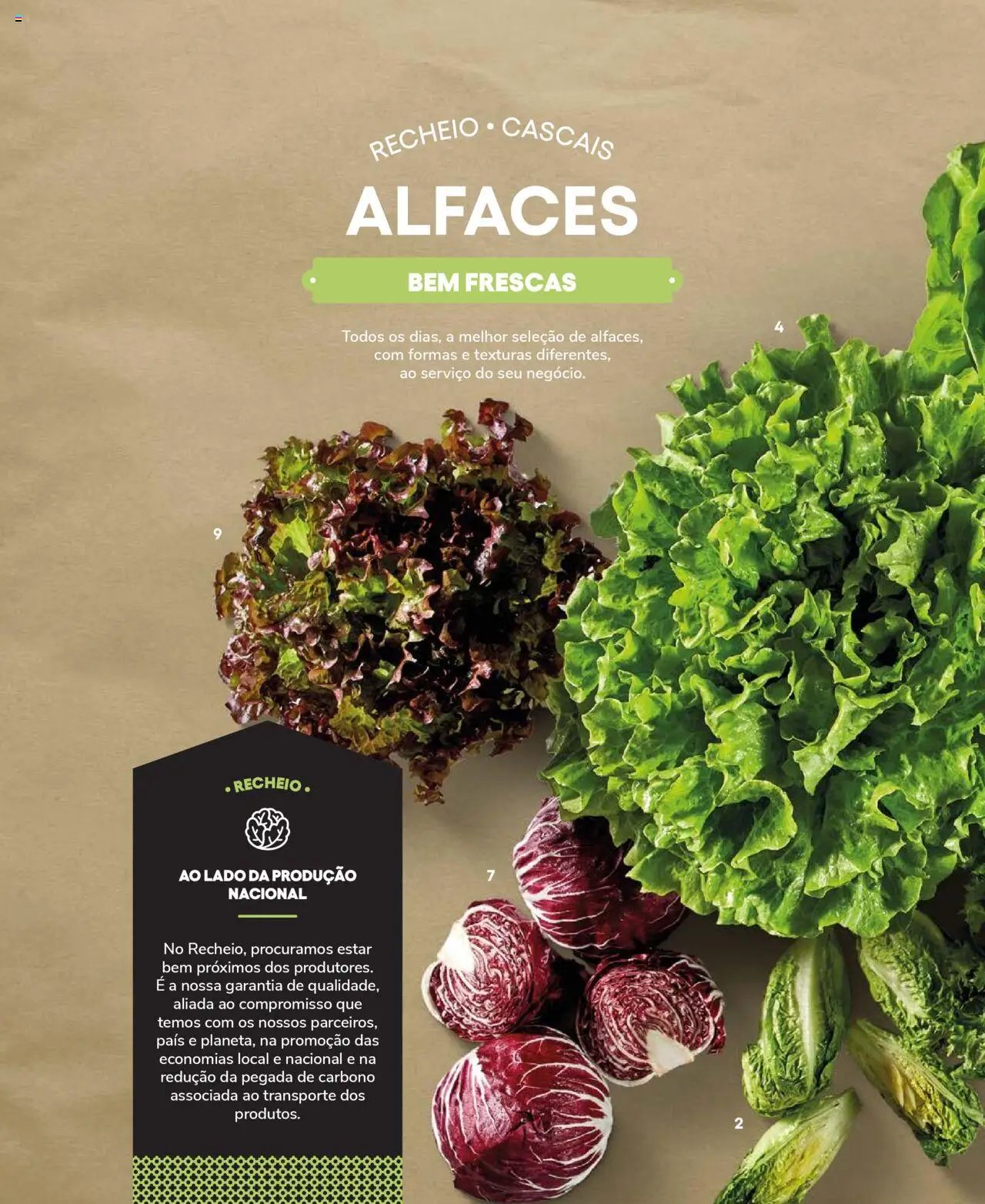 Recheio Frutas e Legumes (2024-09-19 - 2025-12-31)