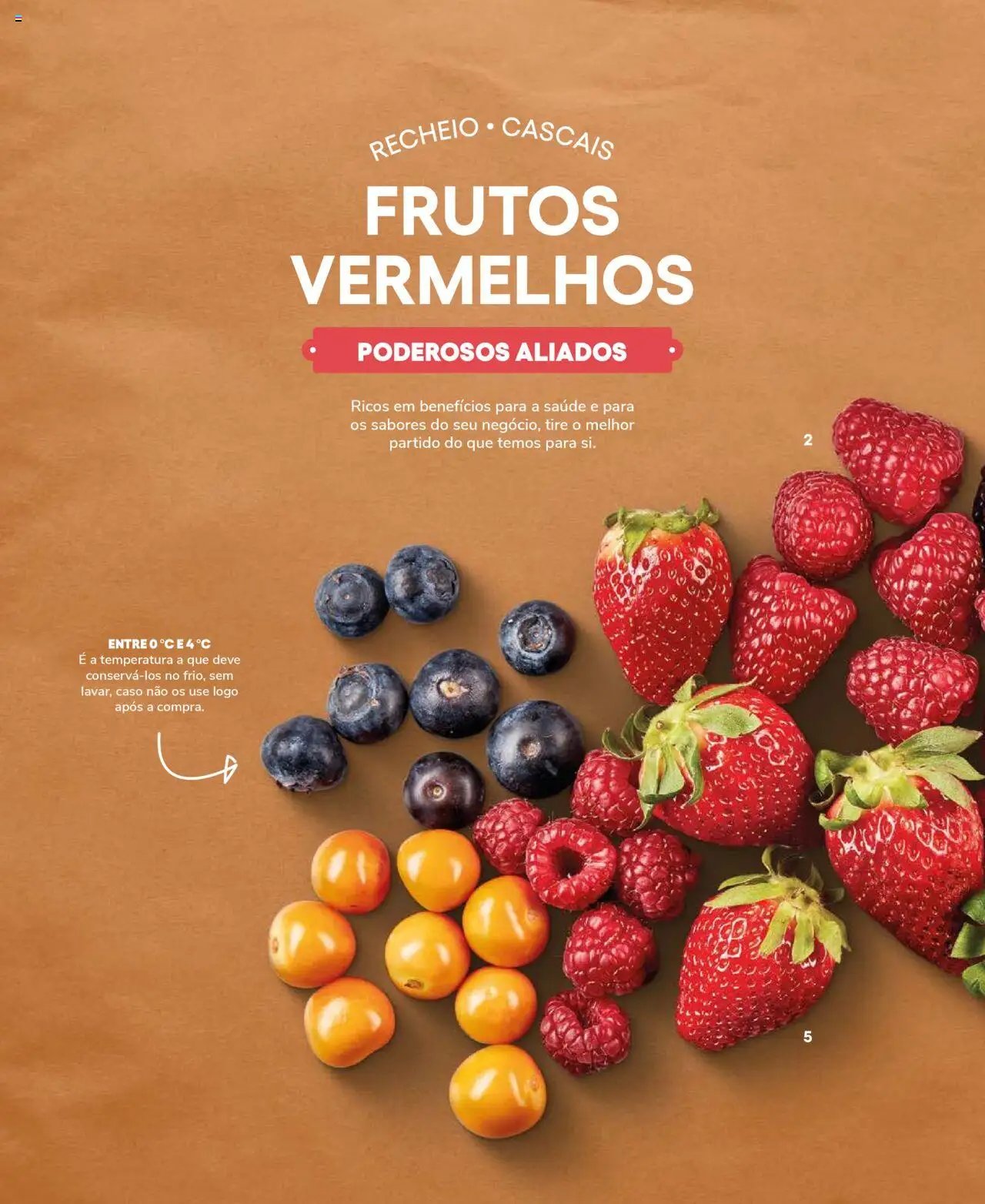 Recheio Frutas e Legumes (2024-09-19 - 2025-12-31)