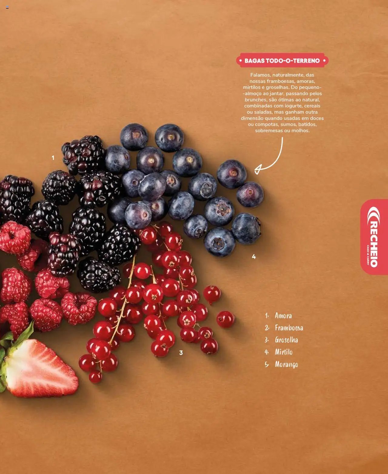 Recheio Frutas e Legumes (2024-09-19 - 2025-12-31)