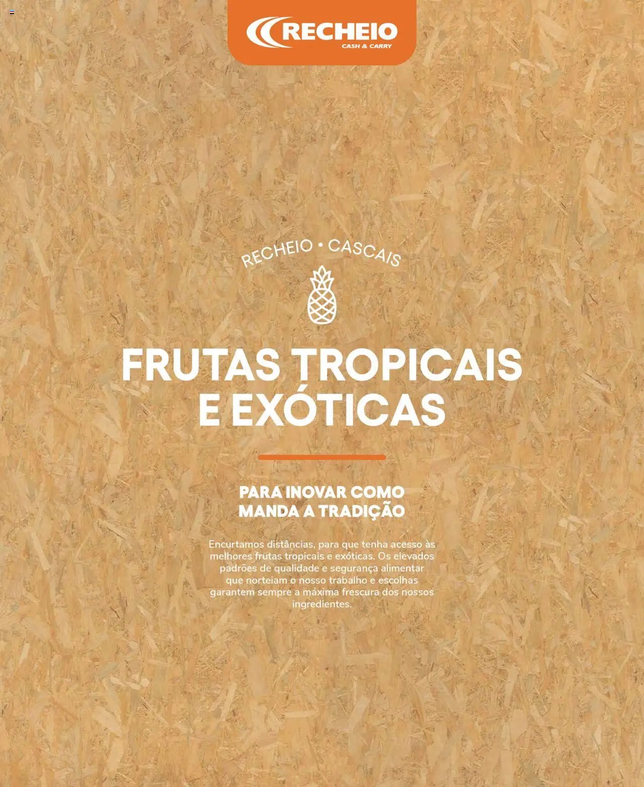 Recheio Frutas e Legumes (2024-09-19 - 2025-12-31)