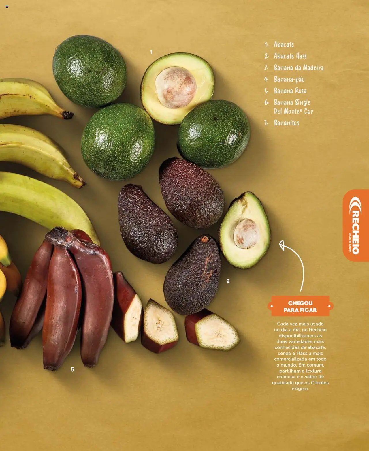Recheio Frutas e Legumes (2024-09-19 - 2025-12-31)