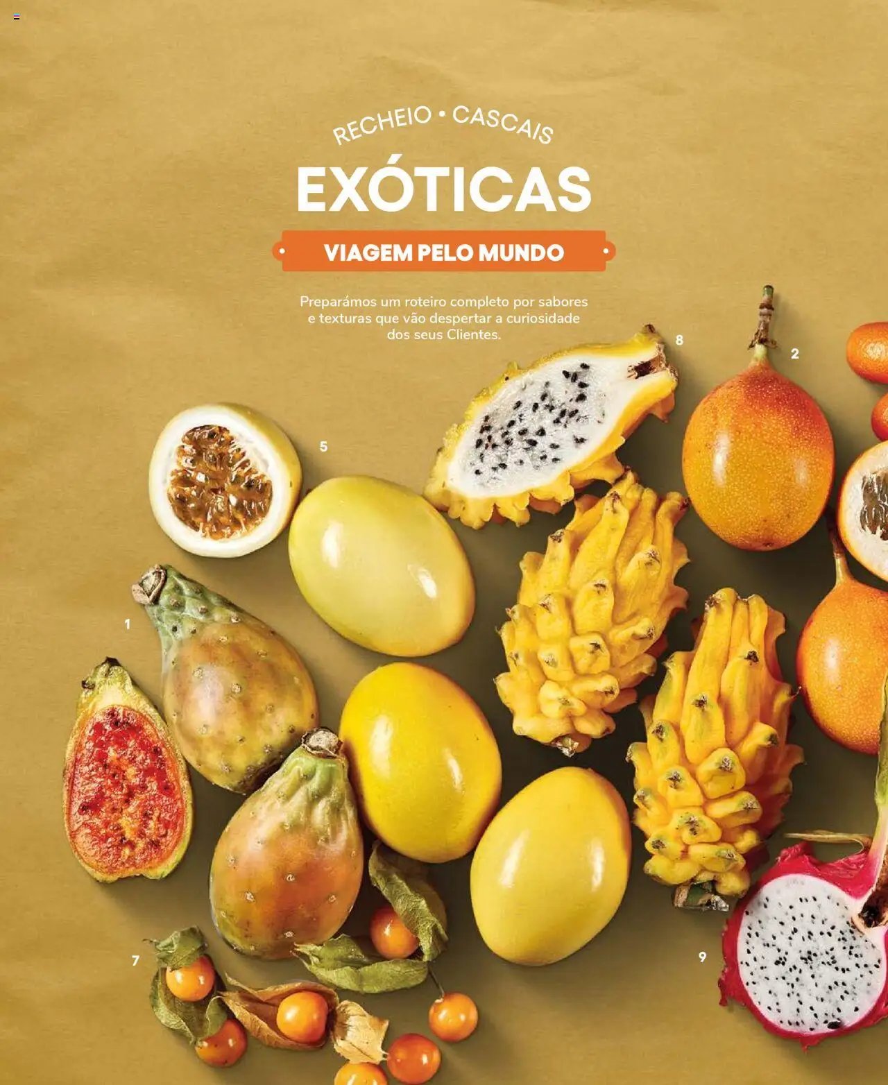 Recheio Frutas e Legumes (2024-09-19 - 2025-12-31)