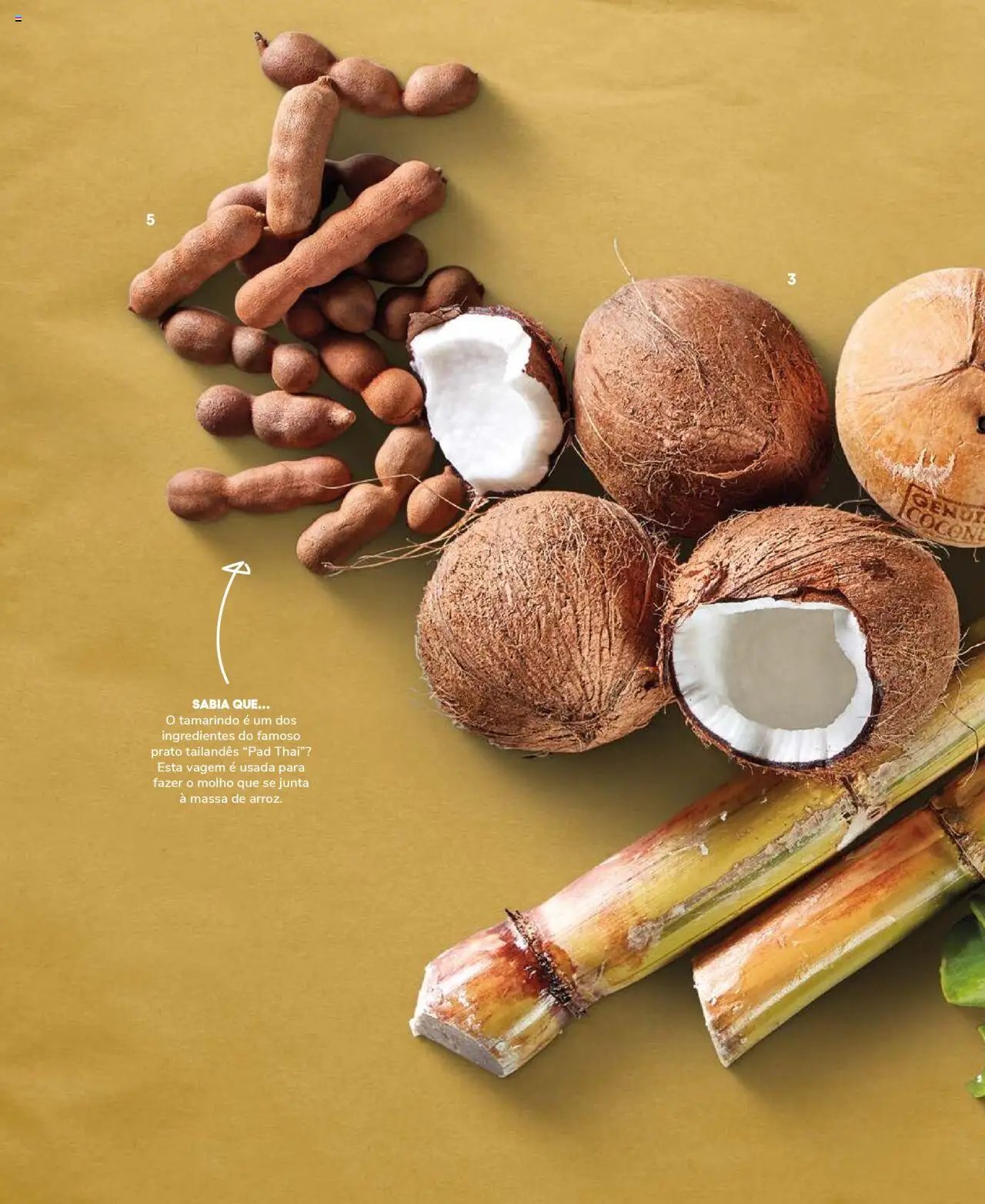 Recheio Frutas e Legumes (2024-09-19 - 2025-12-31)