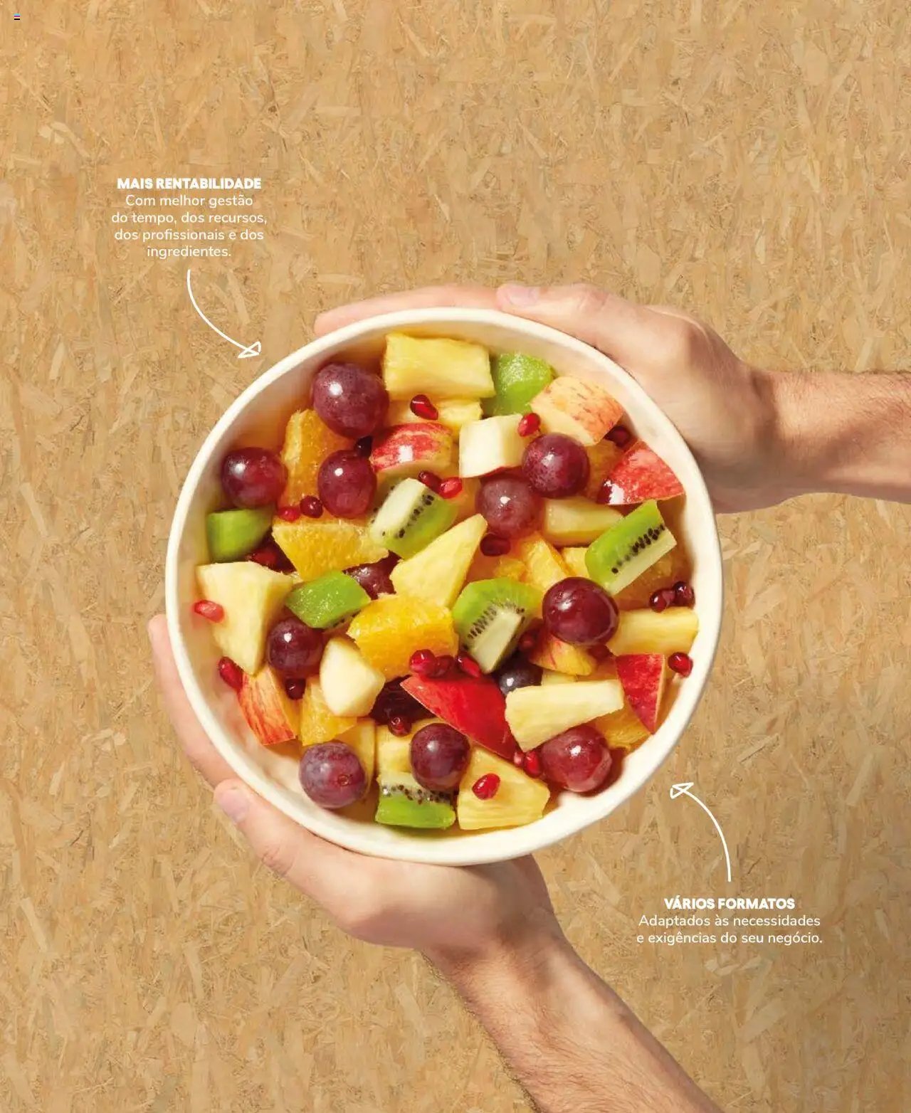 Recheio Frutas e Legumes (2024-09-19 - 2025-12-31)