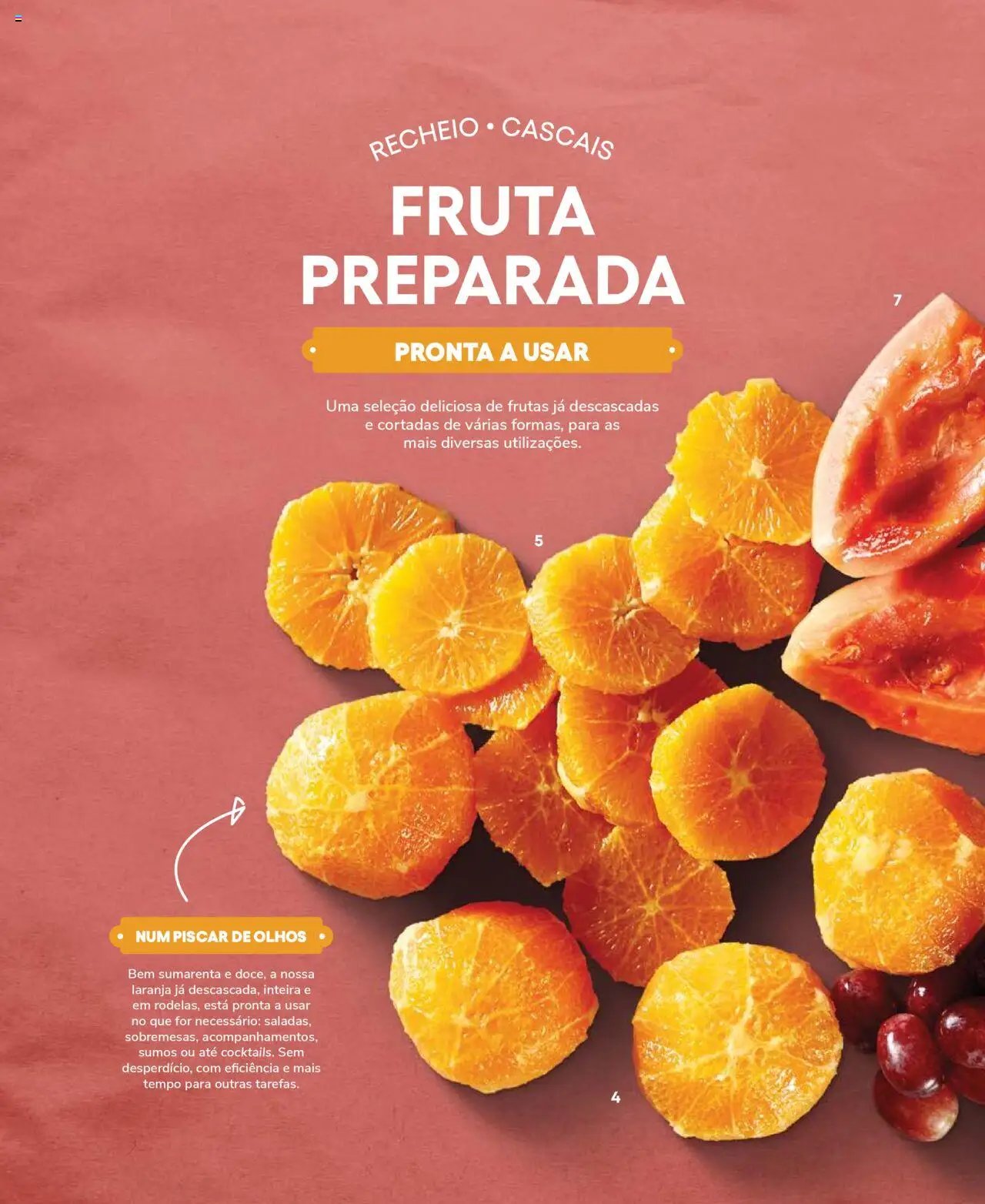 Recheio Frutas e Legumes (2024-09-19 - 2025-12-31)