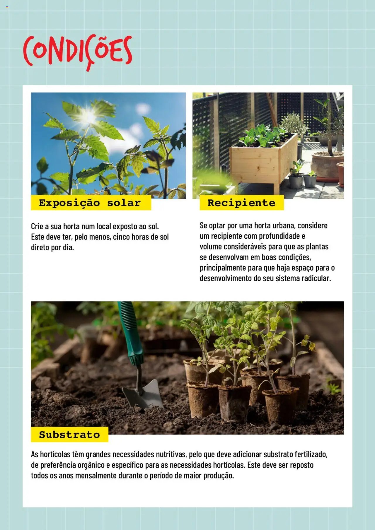 BricoMarché Hortas (2024-01-17 - 2025-12-31) | 2