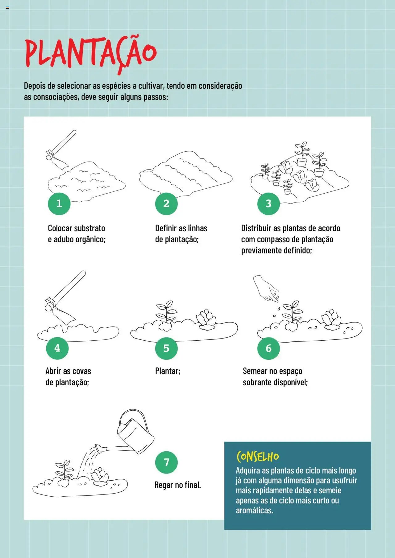 BricoMarché Hortas (2024-01-17 - 2025-12-31) | 4