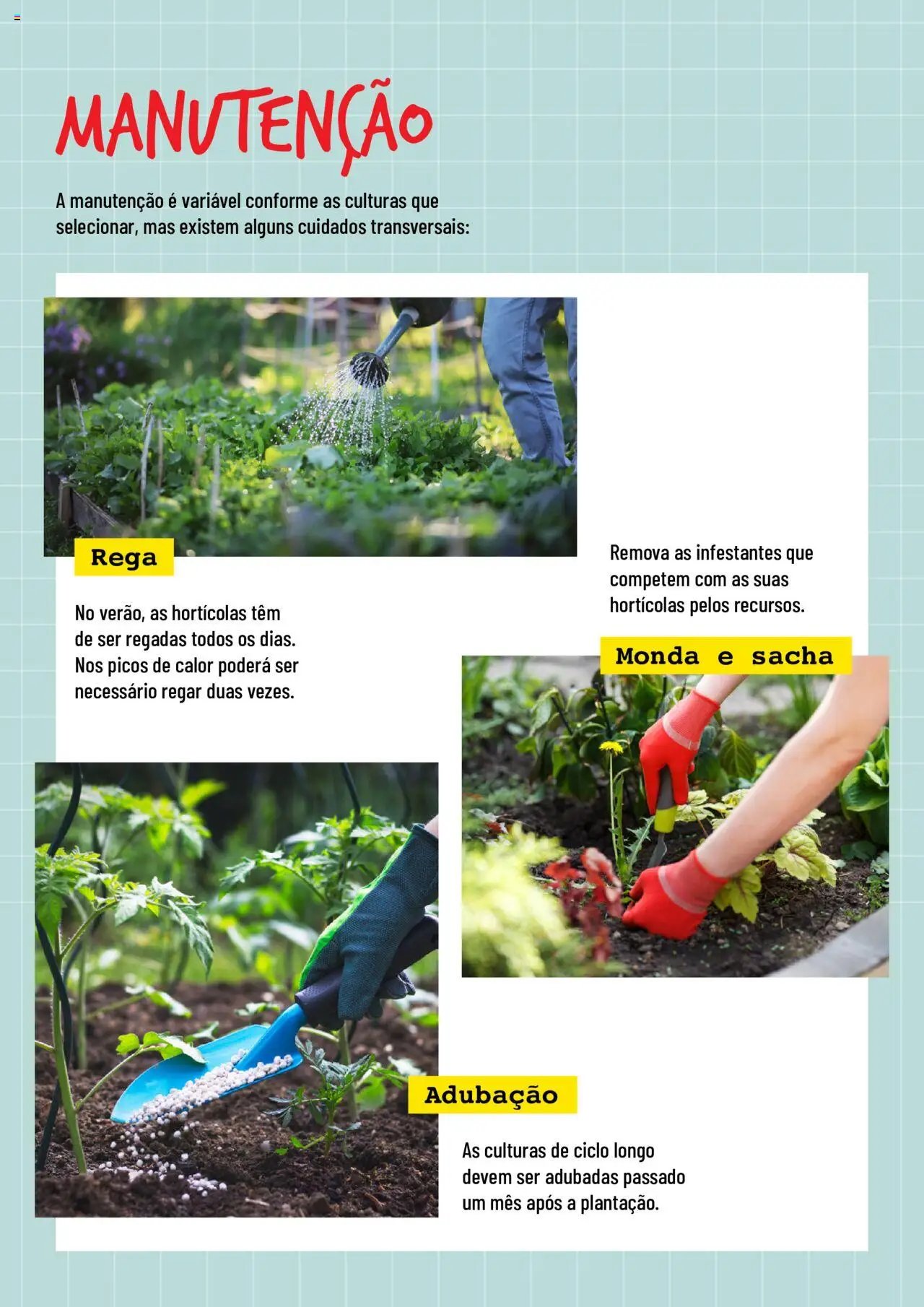 BricoMarché Hortas (2024-01-17 - 2025-12-31) | 5