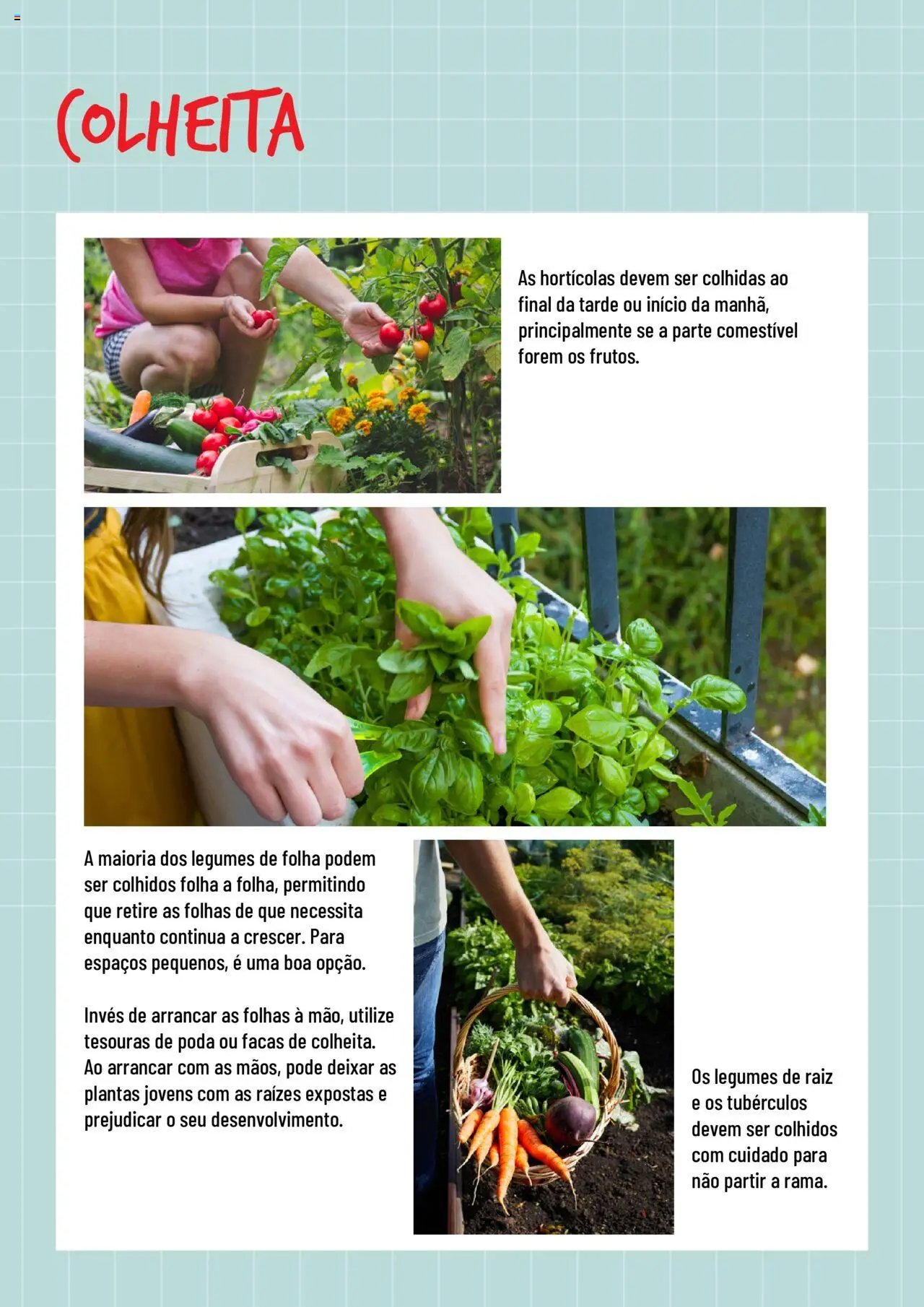 BricoMarché Hortas (2024-01-17 - 2025-12-31) | 6