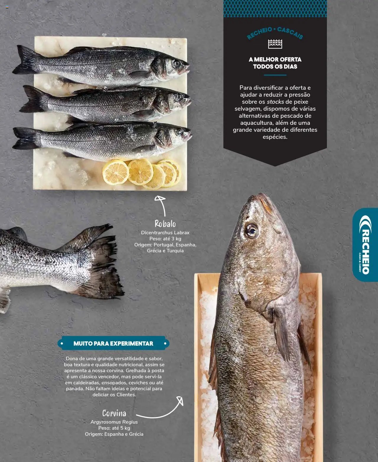 Recheio Peixaria (2024-09-19 - 2025-12-31)