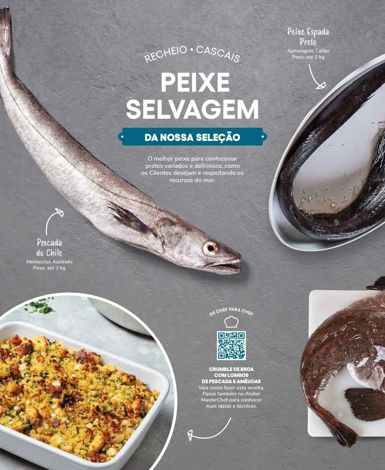 Recheio Peixaria (2024-09-19 - 2025-12-31)