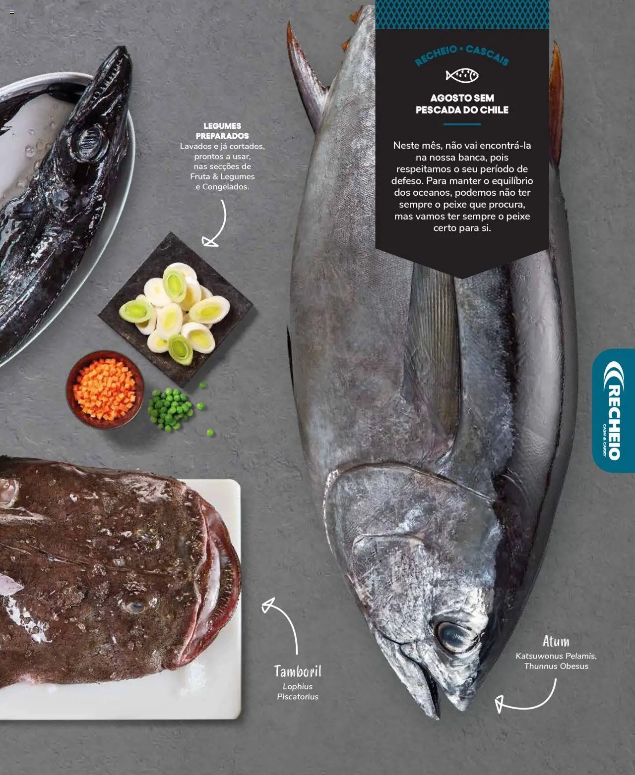 Recheio Peixaria (2024-09-19 - 2025-12-31)