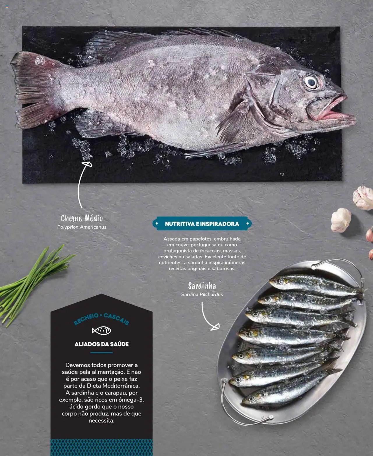 Recheio Peixaria (2024-09-19 - 2025-12-31)