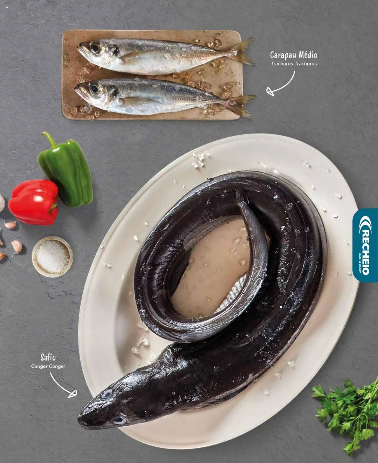 Recheio Peixaria (2024-09-19 - 2025-12-31)