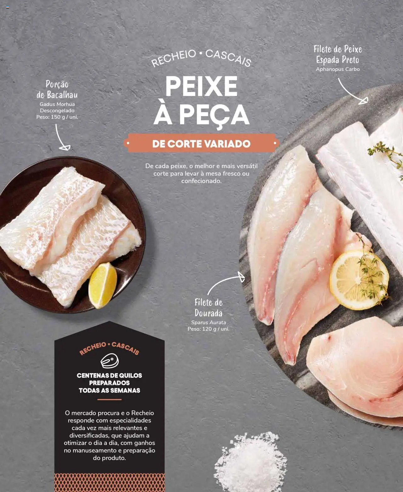 Recheio Peixaria (2024-09-19 - 2025-12-31)