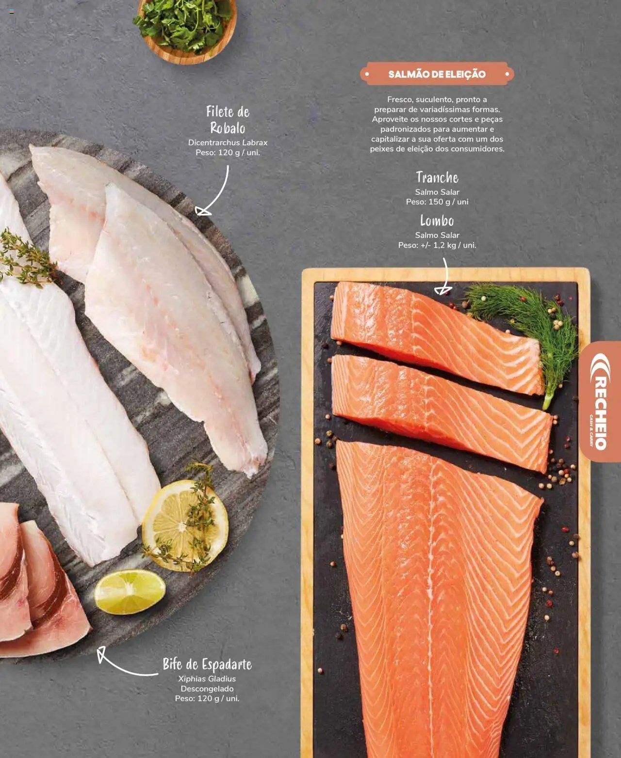 Recheio Peixaria (2024-09-19 - 2025-12-31)