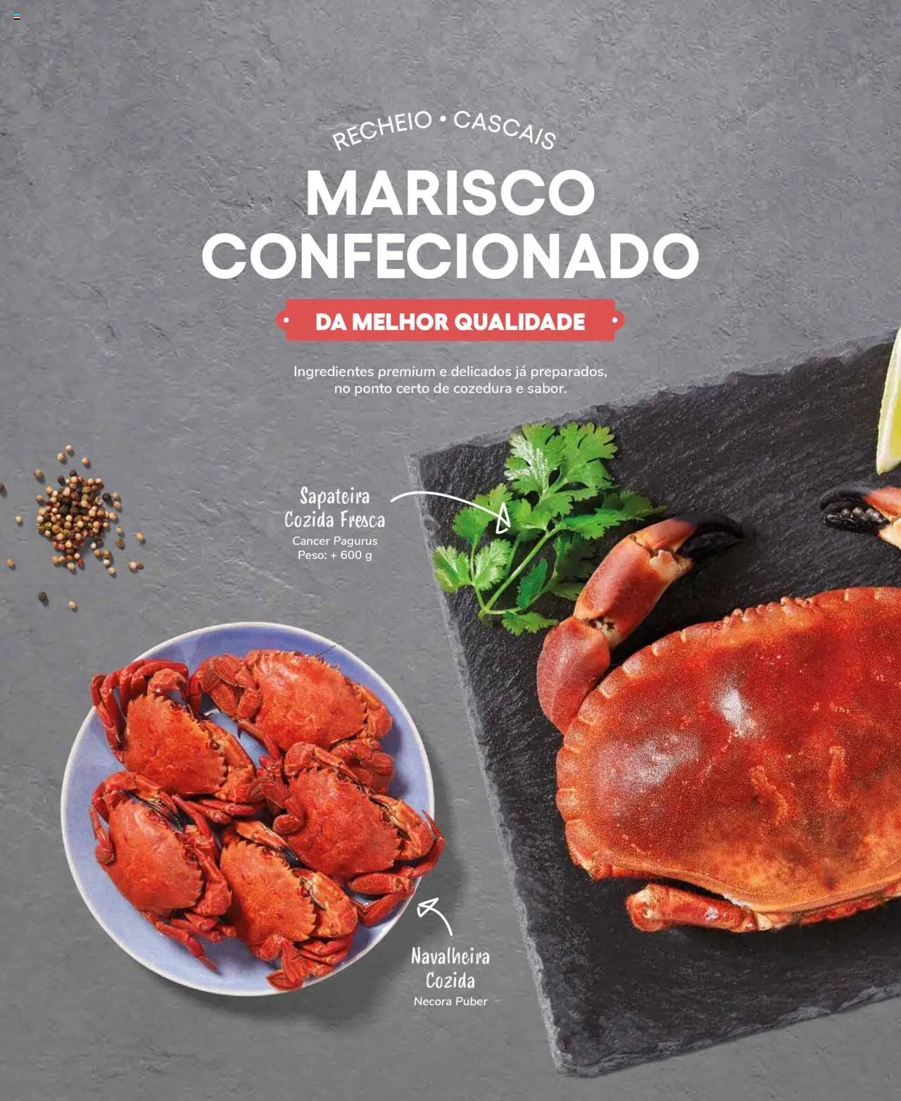 Recheio Peixaria (2024-09-19 - 2025-12-31)