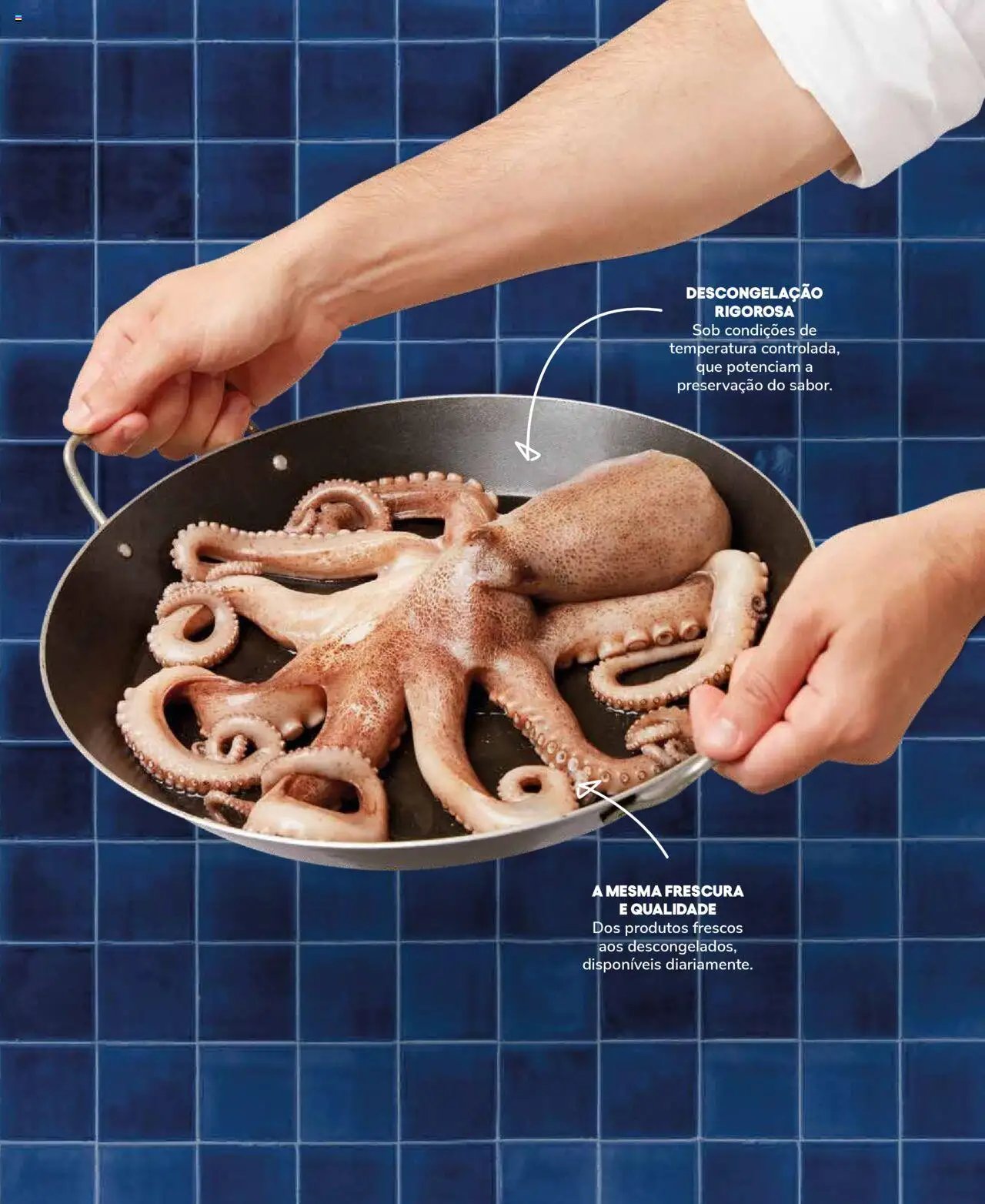 Recheio Peixaria (2024-09-19 - 2025-12-31)