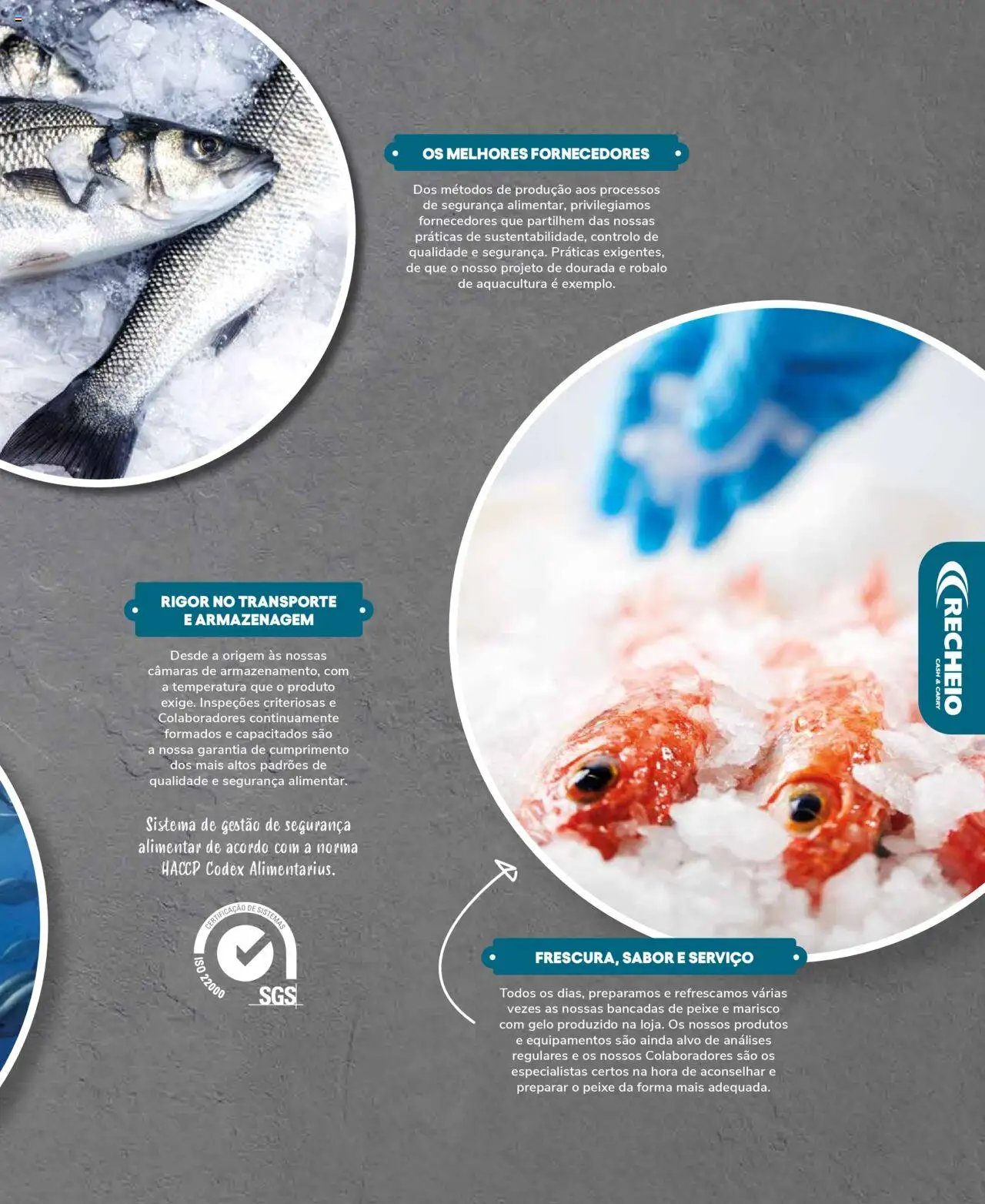 Recheio Peixaria (2024-09-19 - 2025-12-31)