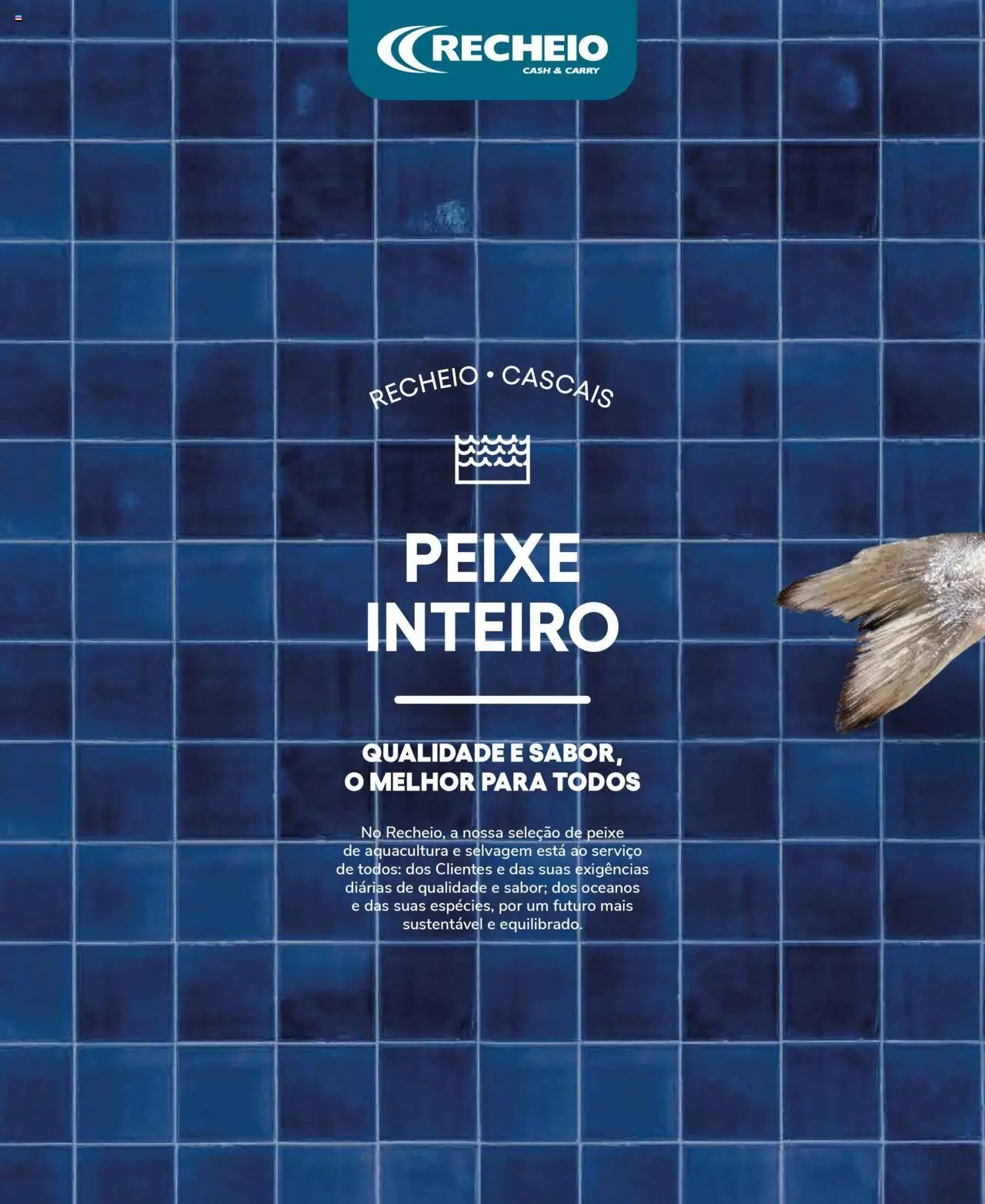 Recheio Peixaria (2024-09-19 - 2025-12-31)