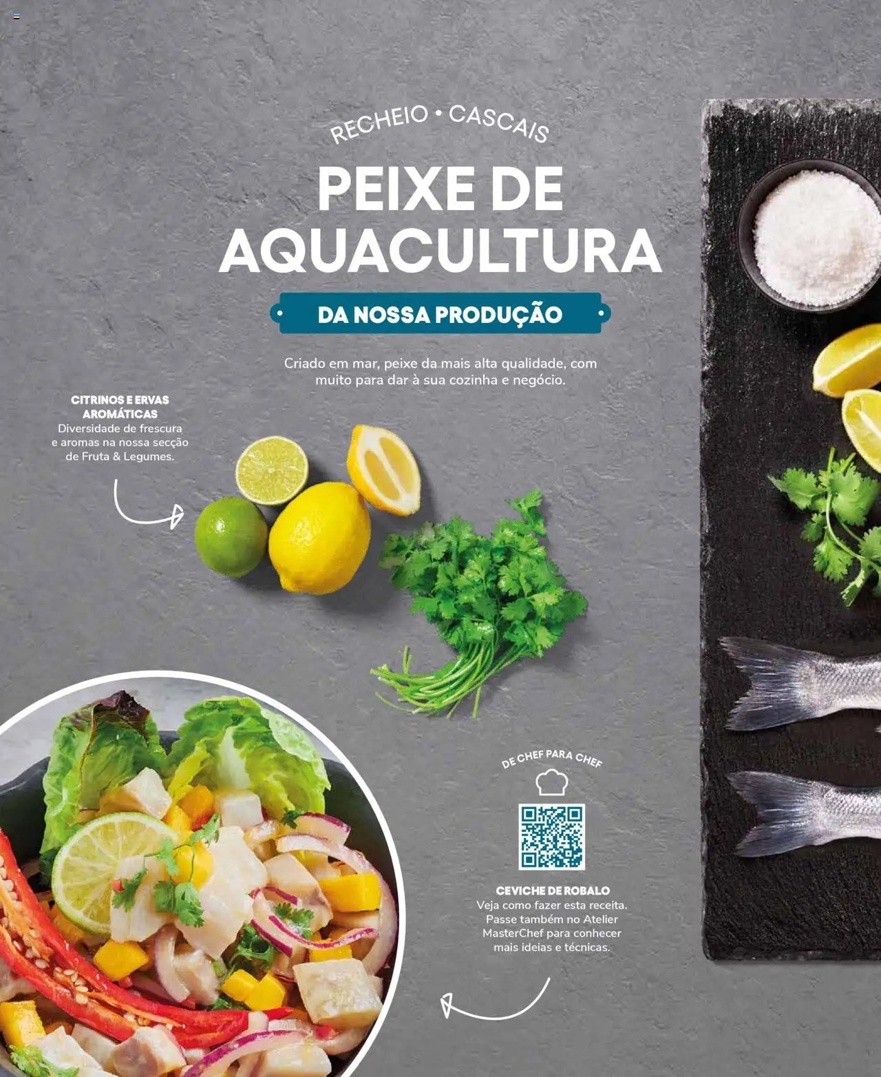 Recheio Peixaria (2024-09-19 - 2025-12-31)
