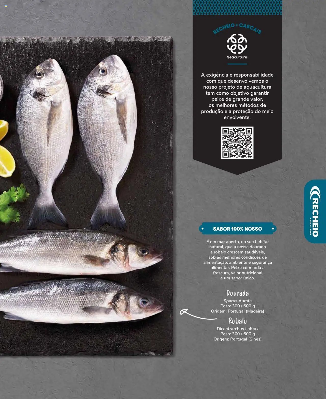 Recheio Peixaria (2024-09-19 - 2025-12-31)