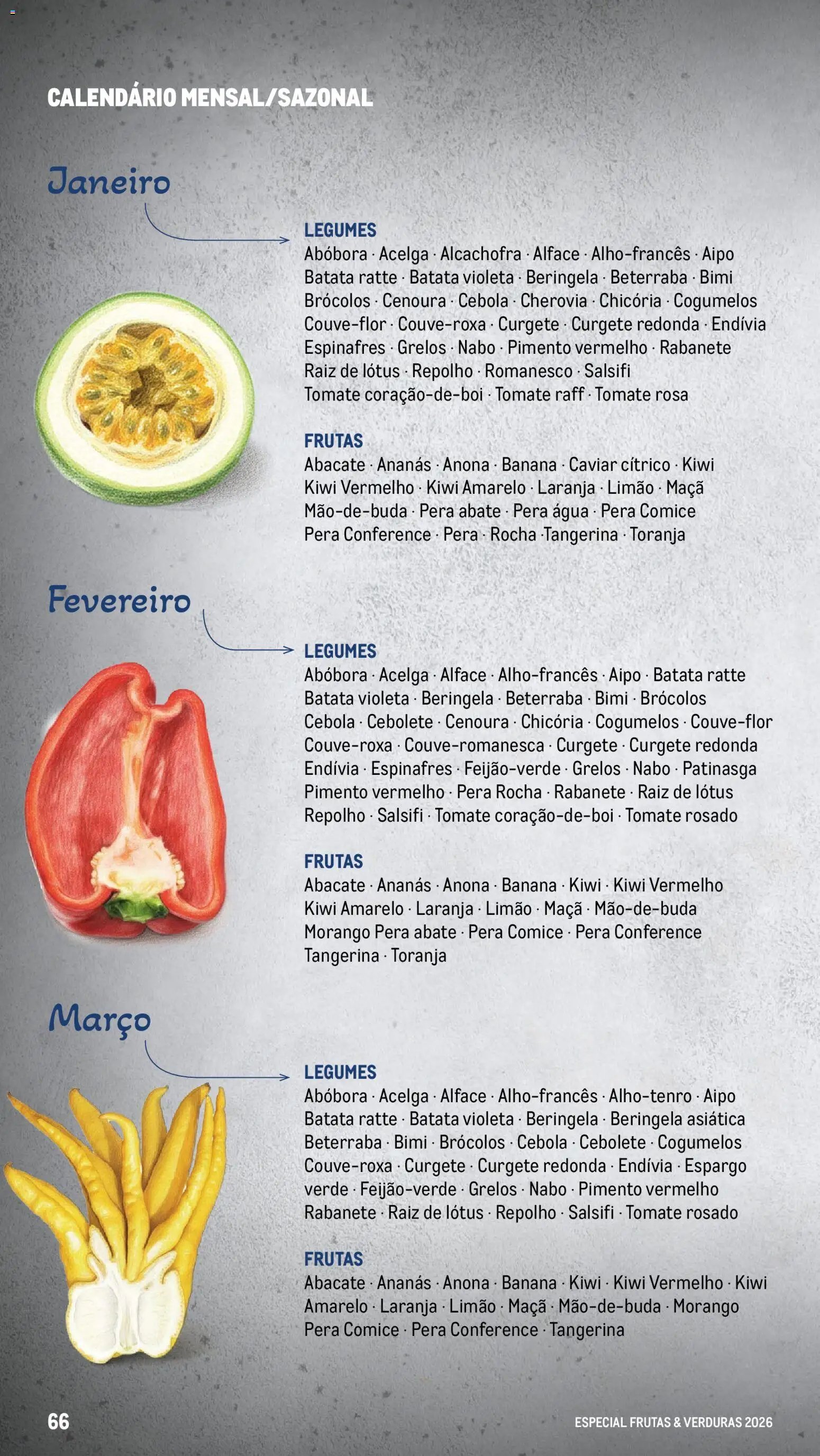 Makro Especial Frutas e Verduras 2026 (2026-03-06 - 2026-12-31) | 66