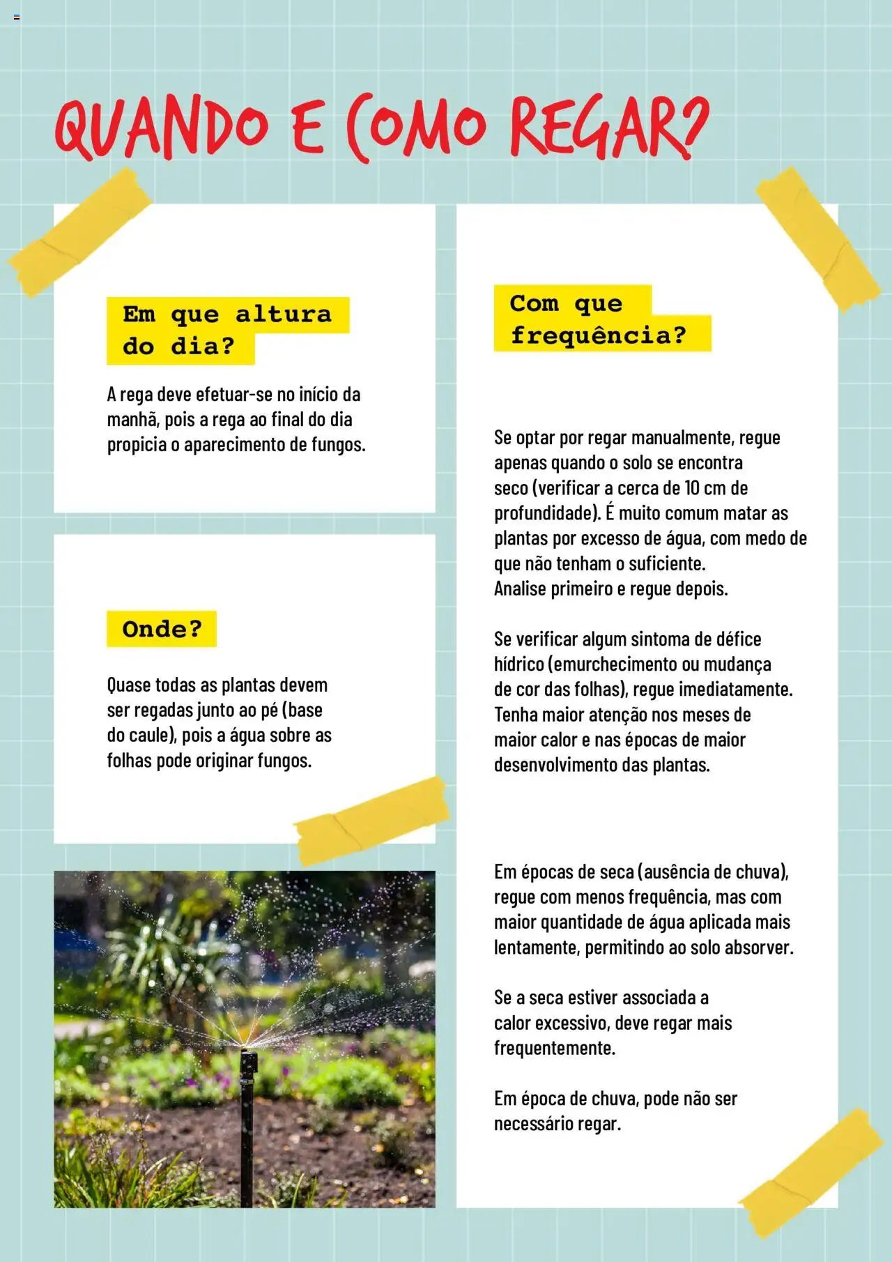 BricoMarché Rega (2024-01-17 - 2025-12-31) | 3