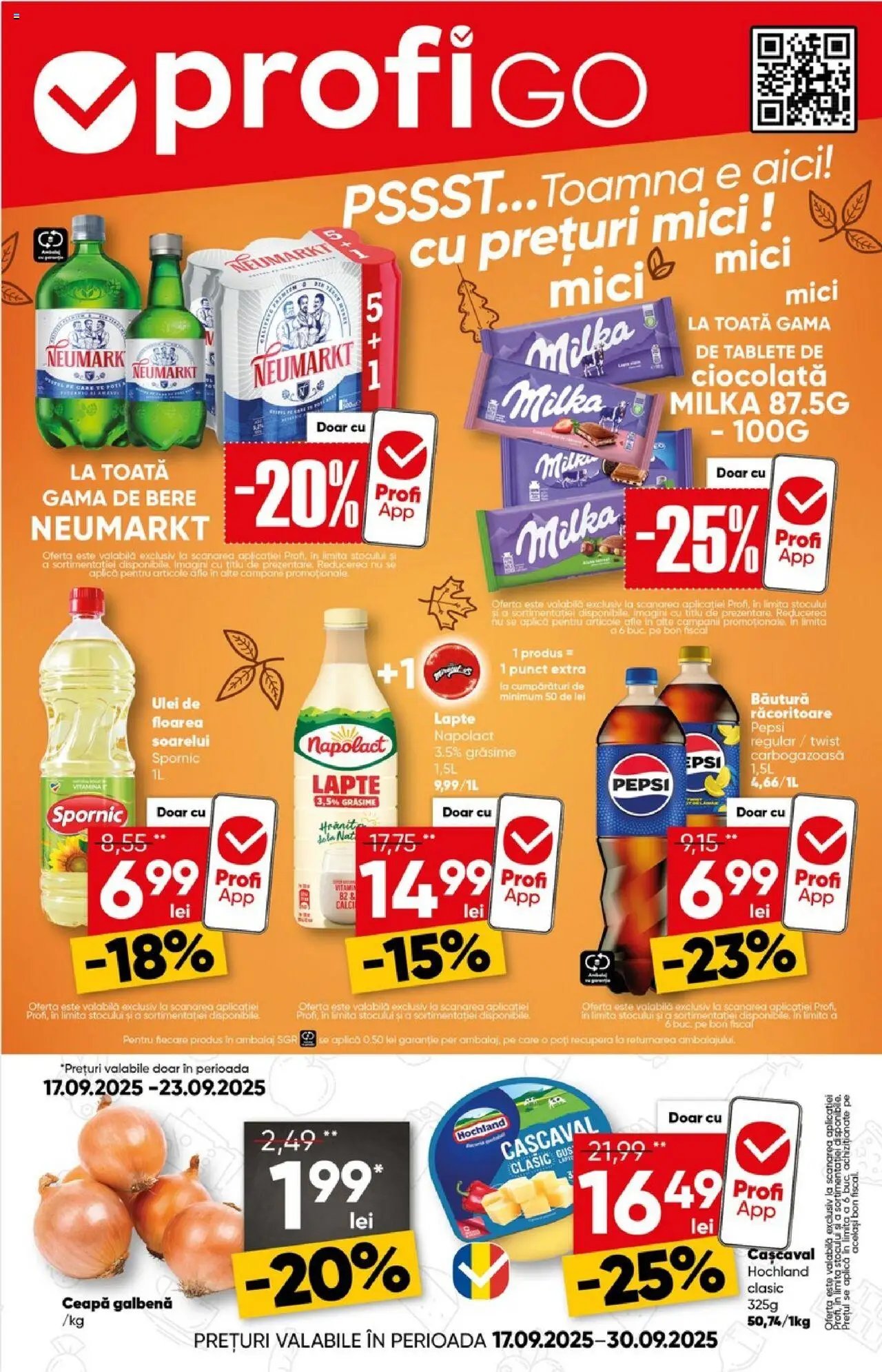 Catalog Profi Go