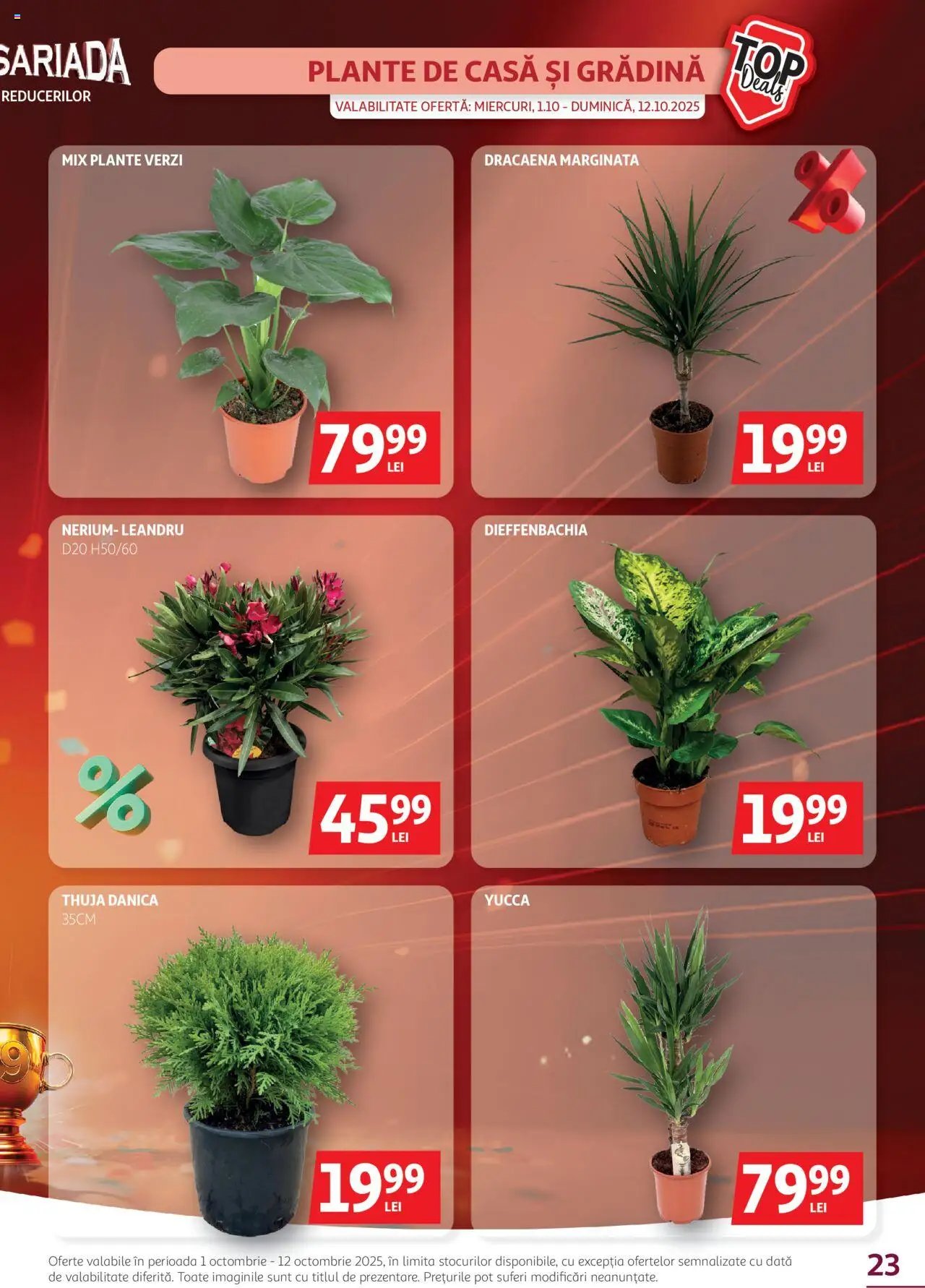 Catalog Auchan