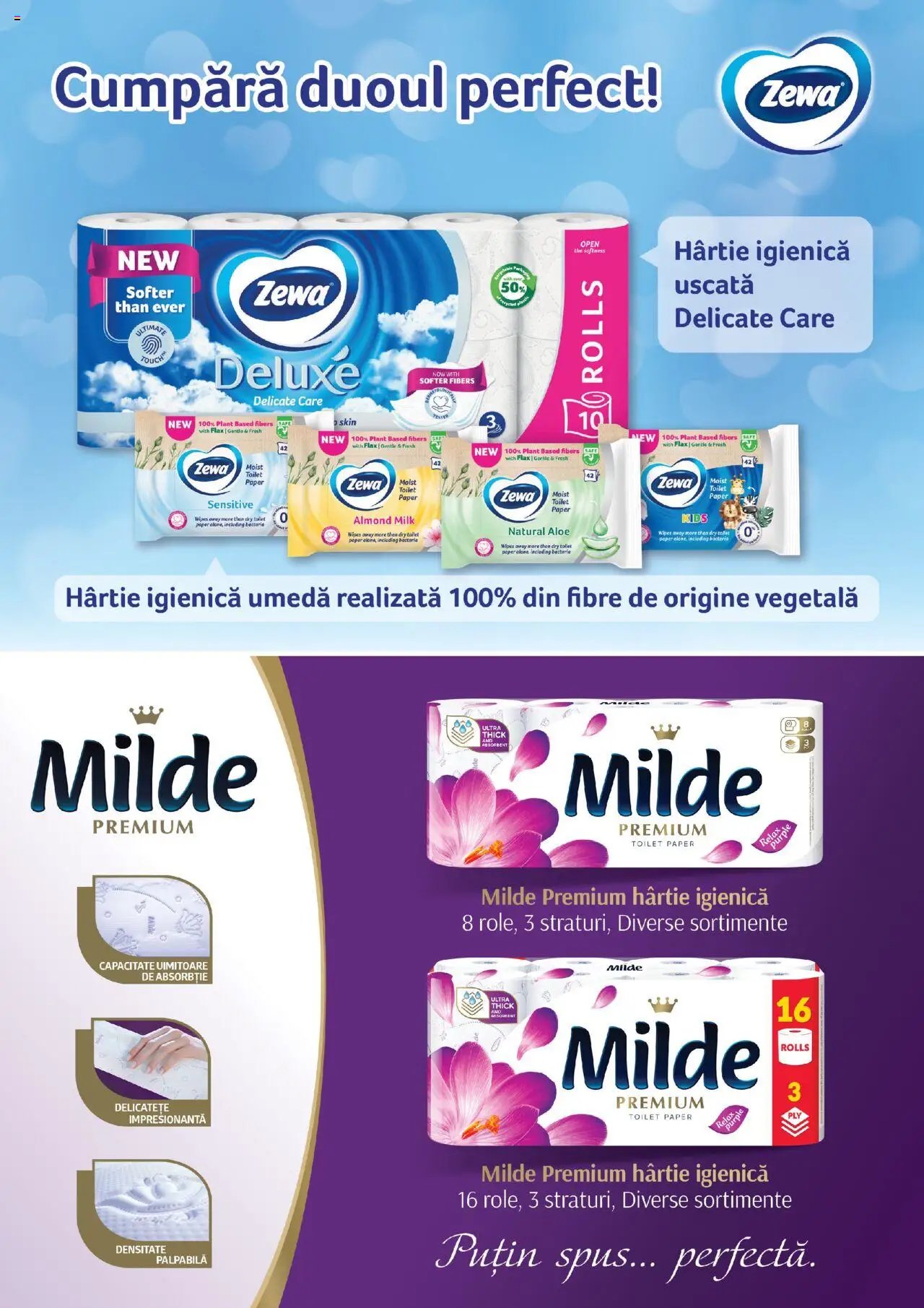 Catalog Auchan