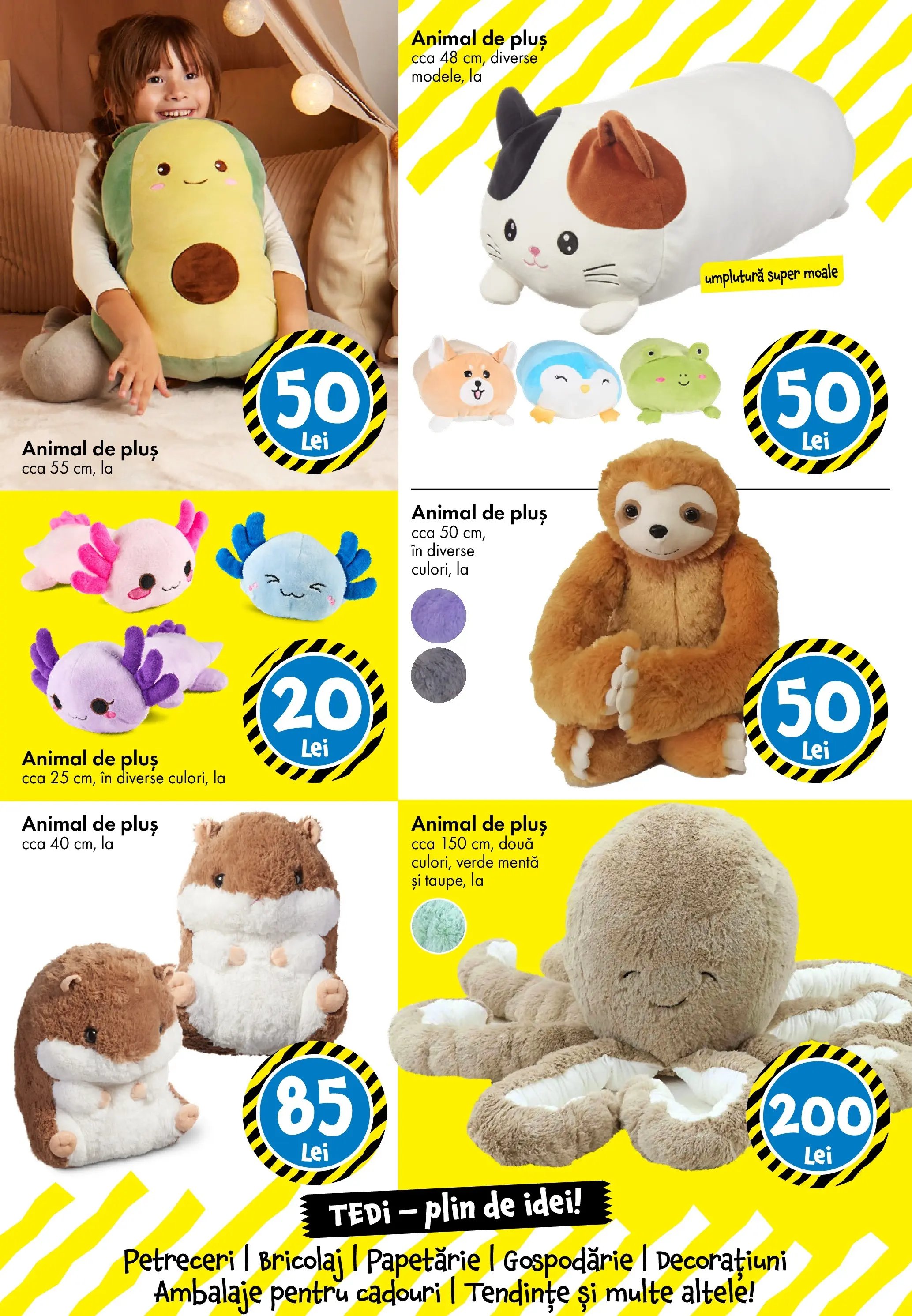 Catalog TEDi