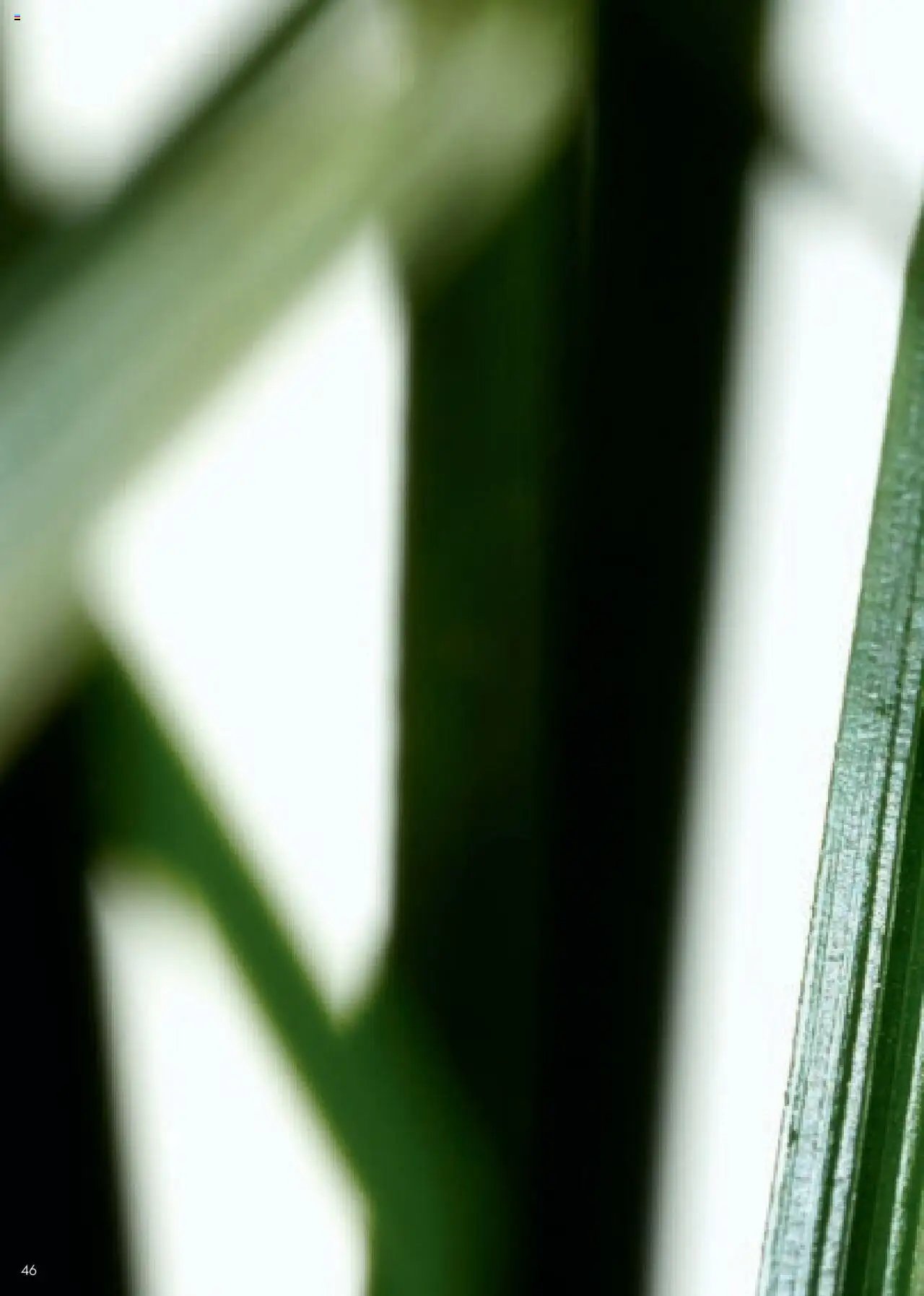 Oriflame catalog - Ghidul NOVAGE+