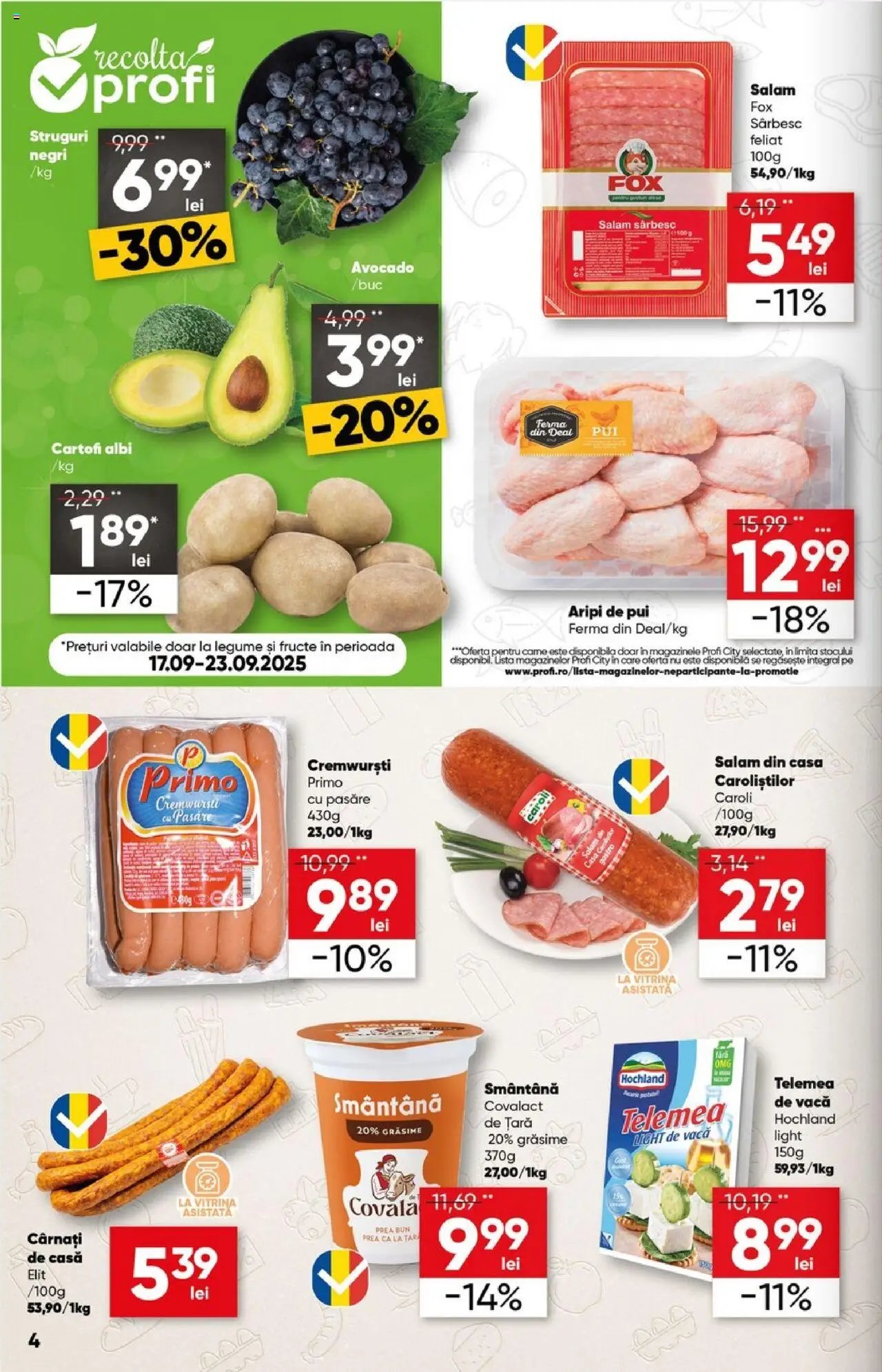 Catalog Profi City nou