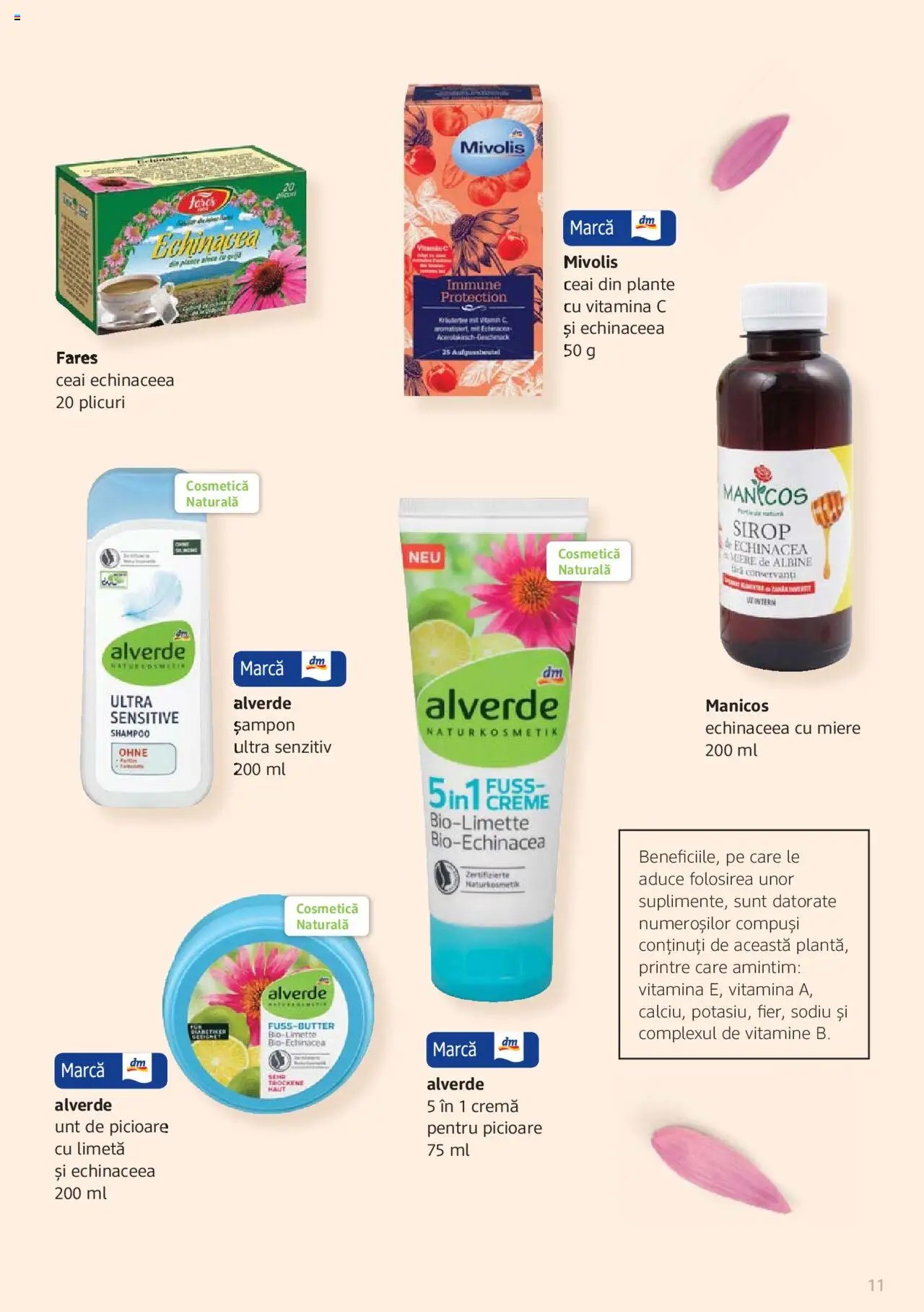 DM drogeriemarkt catalog - Broșura despre plante și ierburi