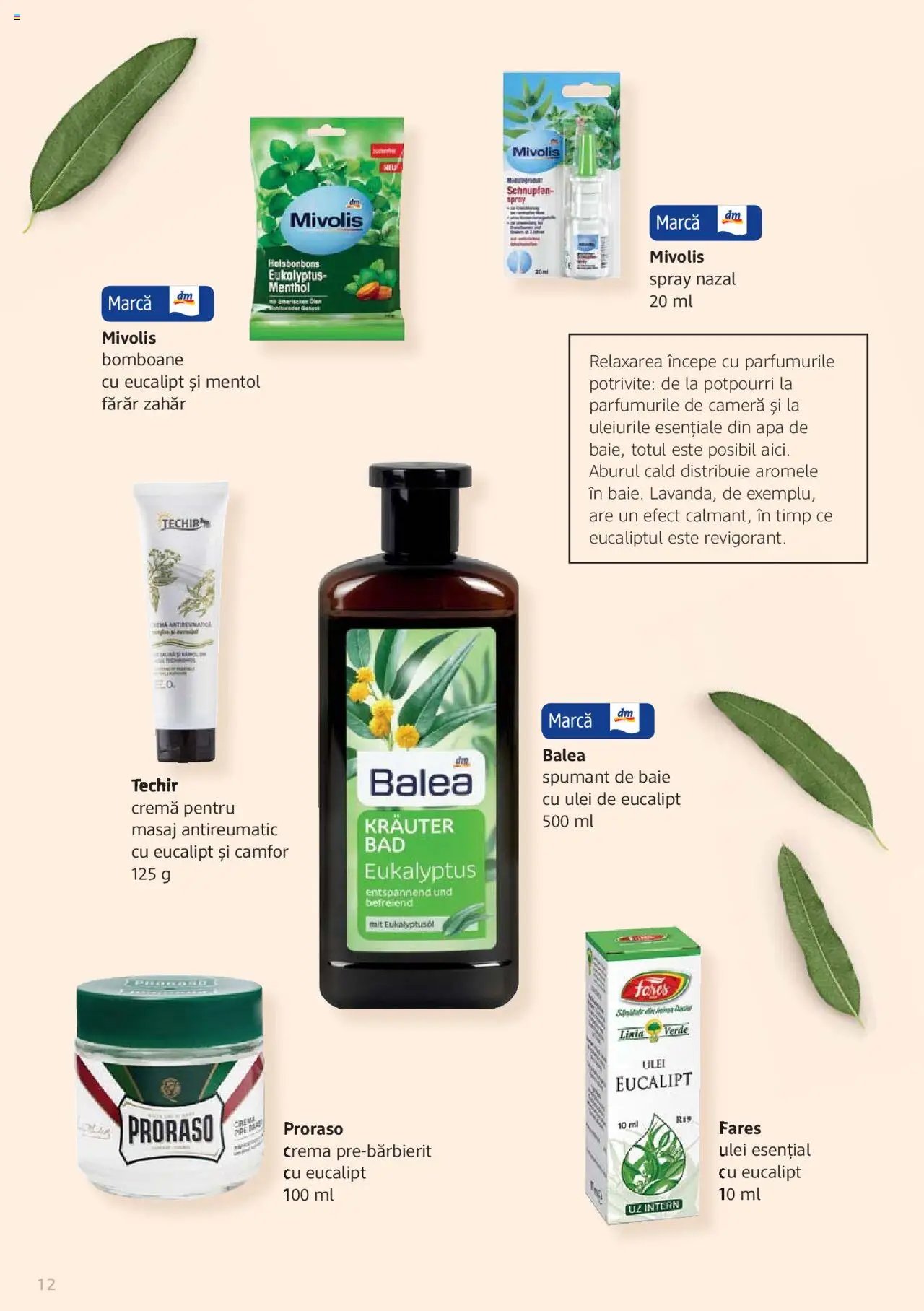 DM drogeriemarkt catalog - Broșura despre plante și ierburi