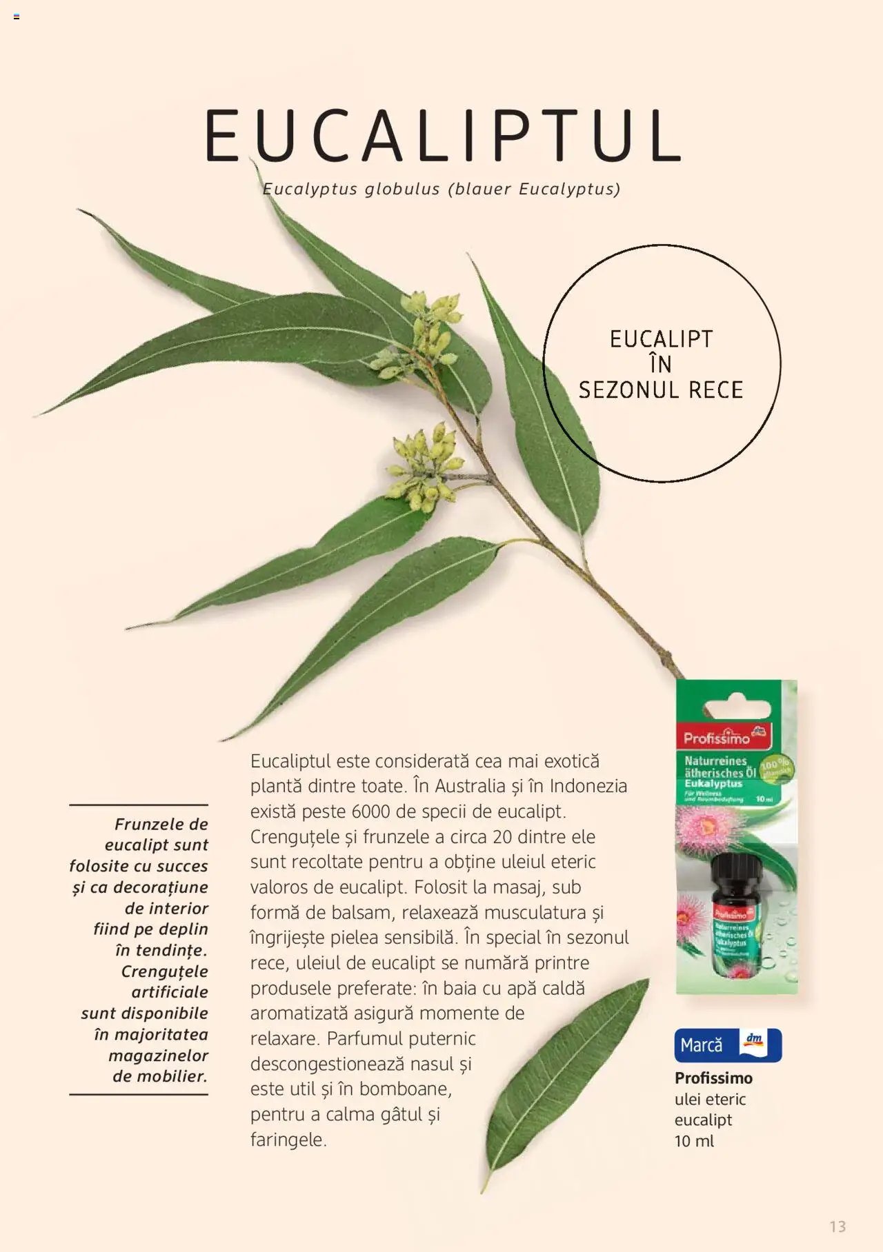 DM drogeriemarkt catalog - Broșura despre plante și ierburi