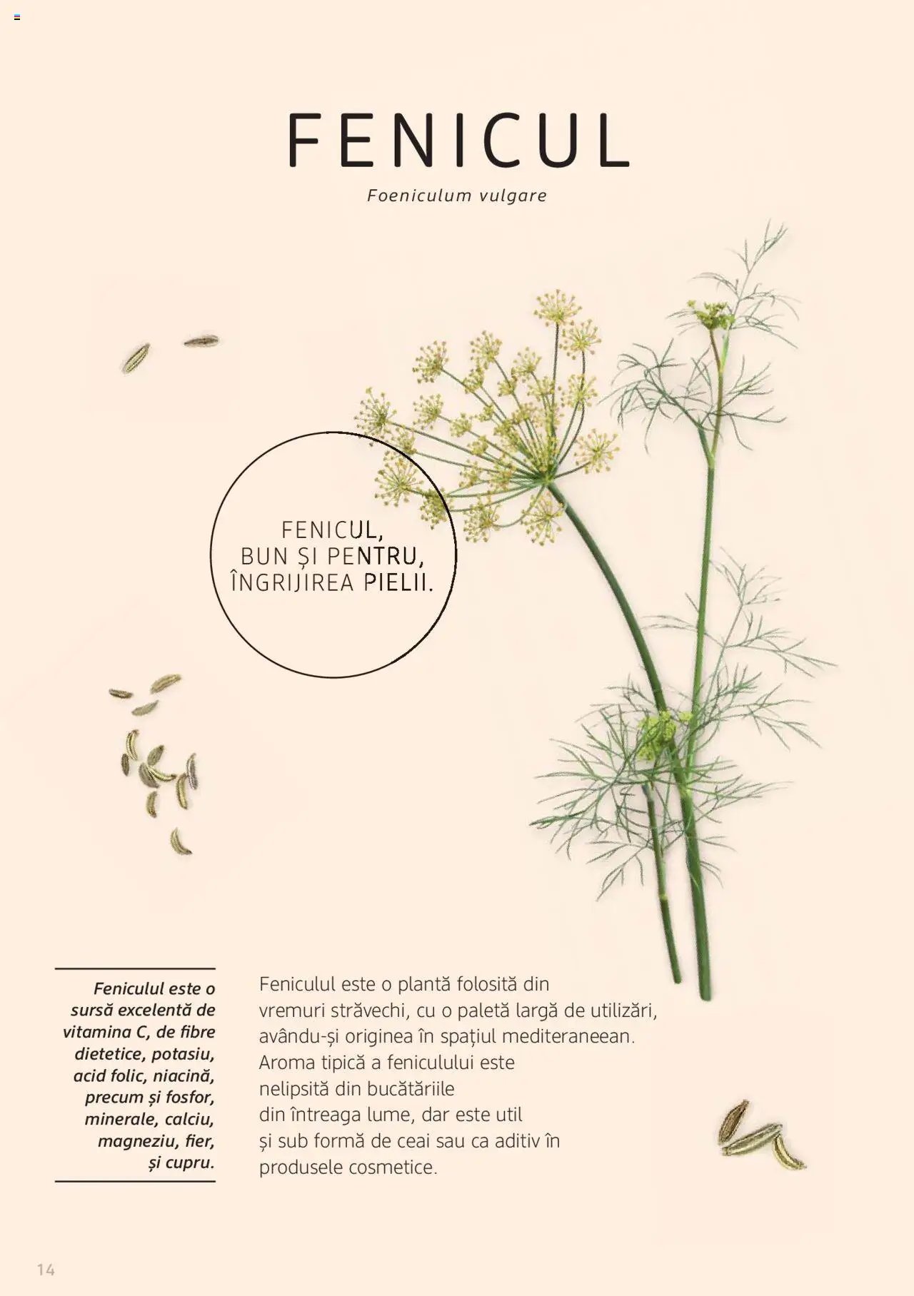 DM drogeriemarkt catalog - Broșura despre plante și ierburi