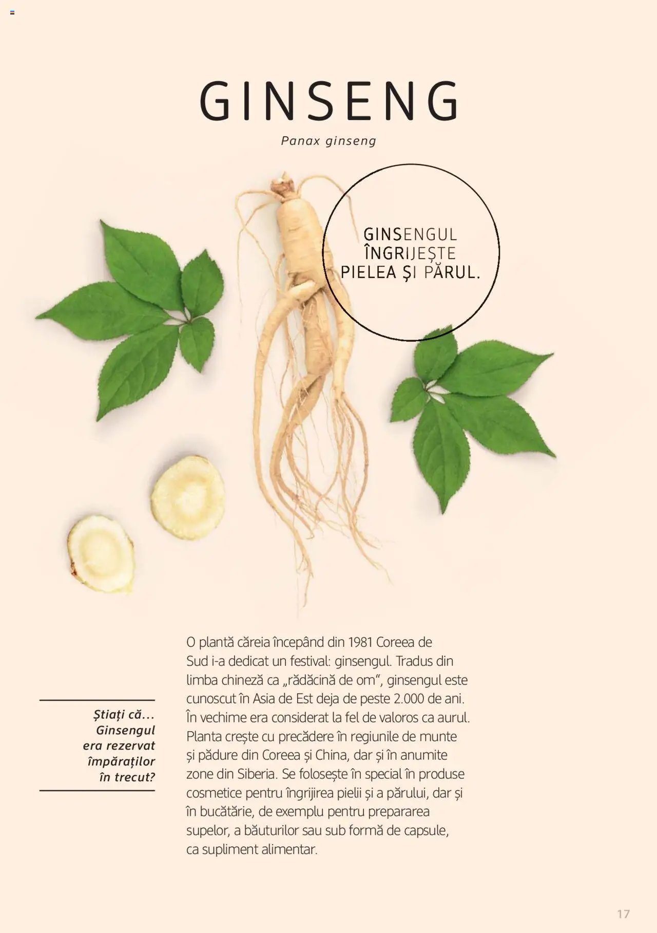 DM drogeriemarkt catalog - Broșura despre plante și ierburi