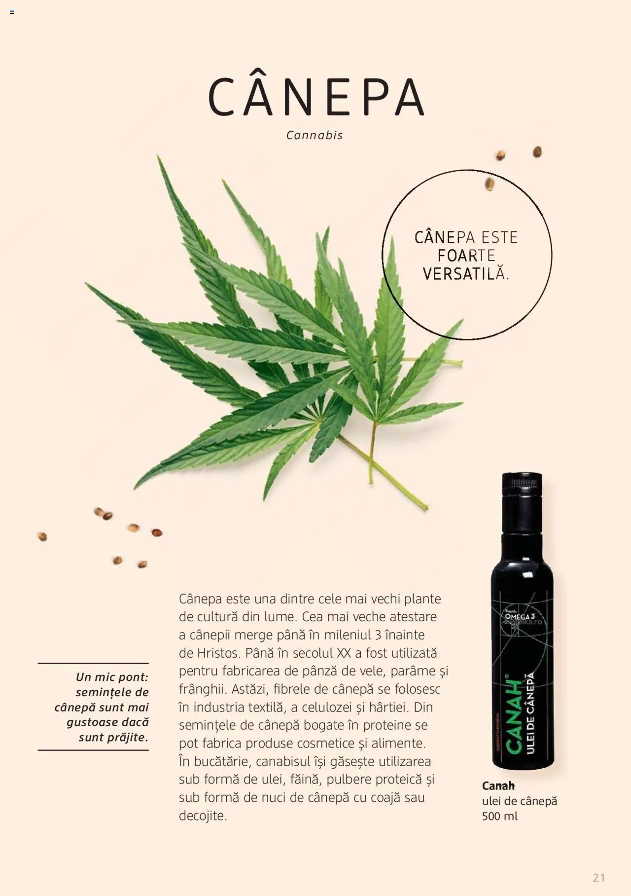 DM drogeriemarkt catalog - Broșura despre plante și ierburi