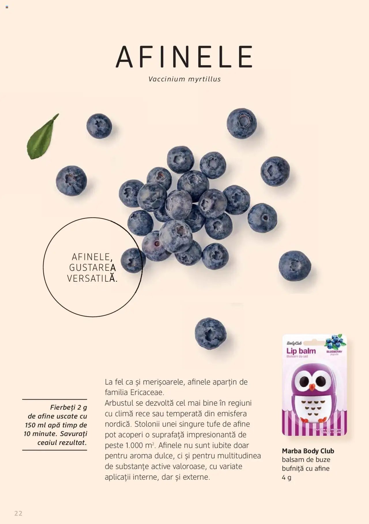 DM drogeriemarkt catalog - Broșura despre plante și ierburi