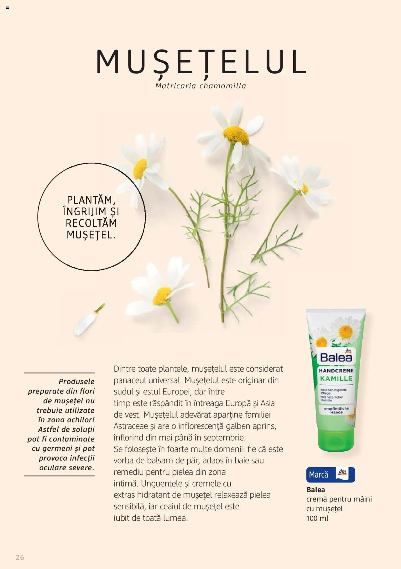 DM drogeriemarkt catalog - Broșura despre plante și ierburi