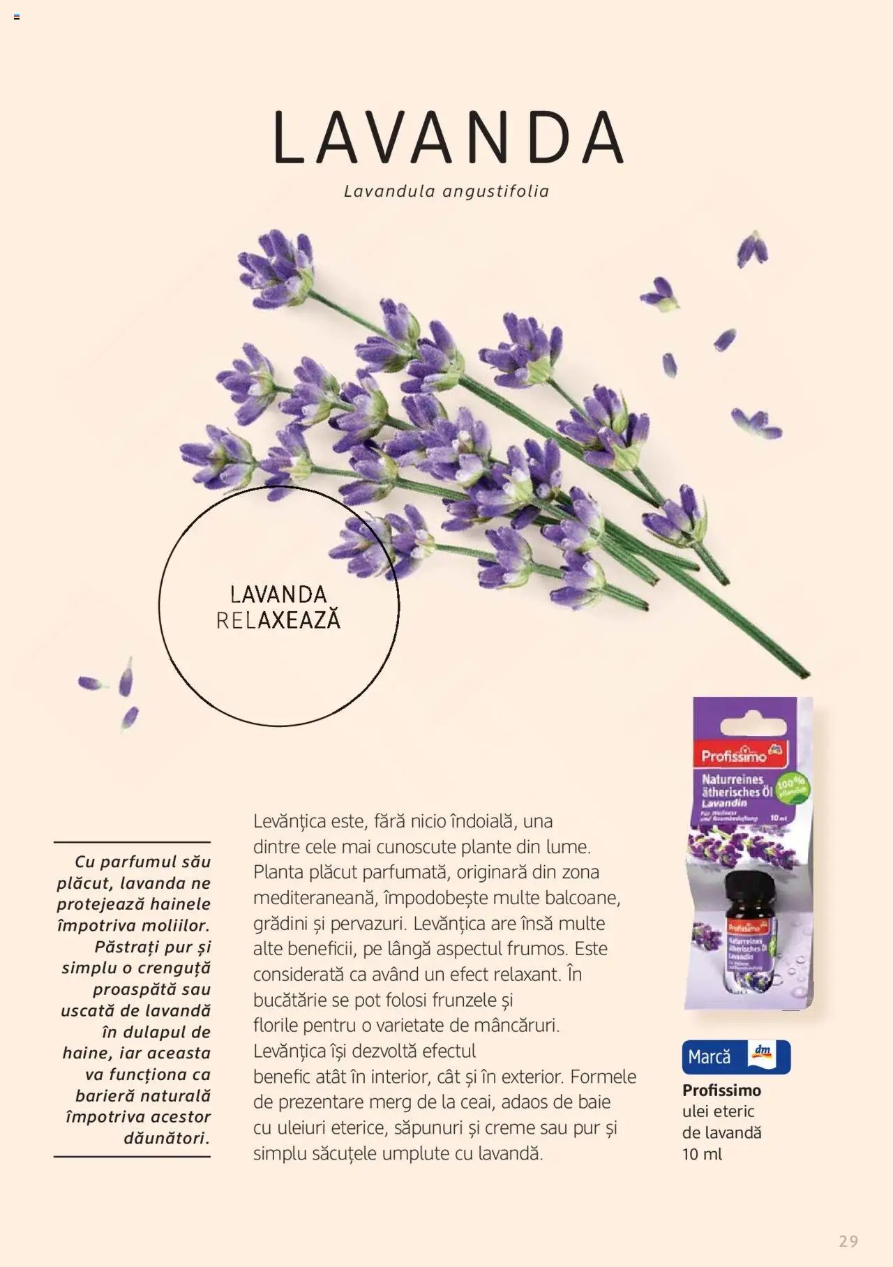 DM drogeriemarkt catalog - Broșura despre plante și ierburi
