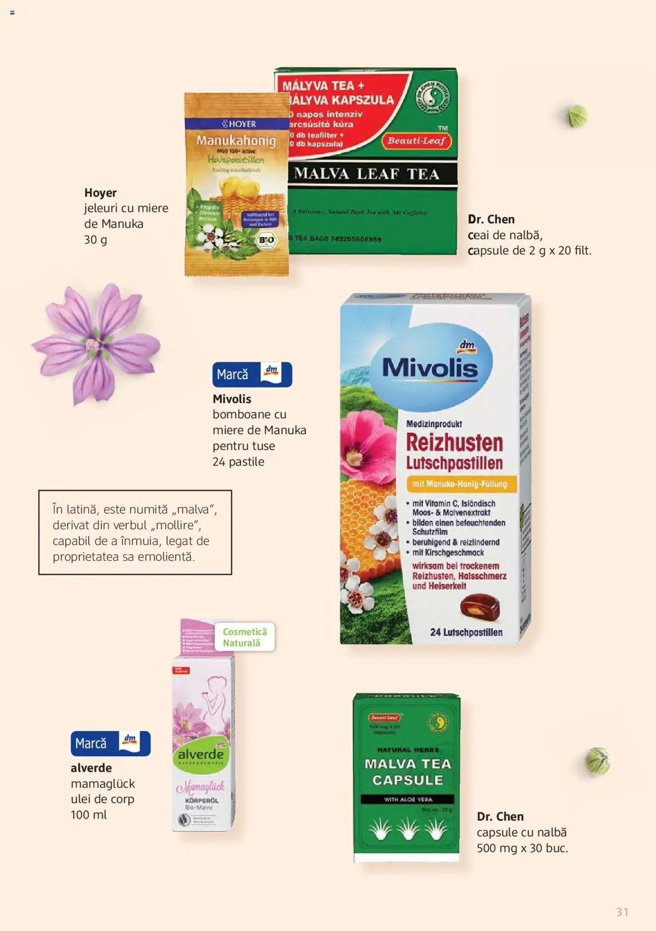 DM drogeriemarkt catalog - Broșura despre plante și ierburi